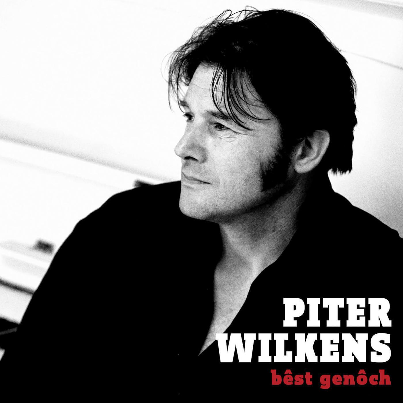 Piter Wilkens - Dûnsje Mei Dy