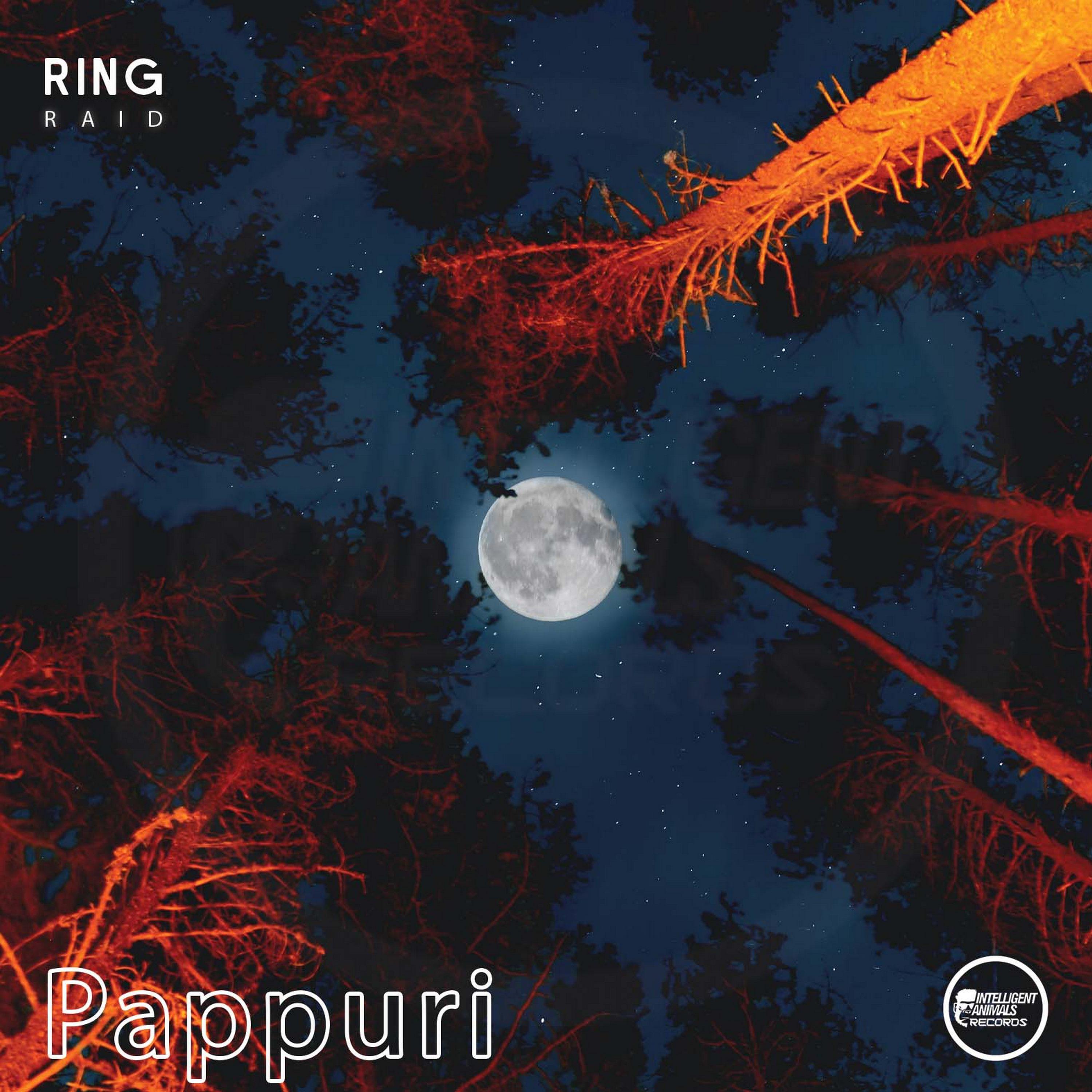Постер альбома Pappuri
