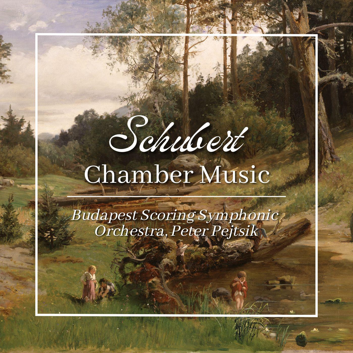 Постер альбома Schubert: Chamber Music