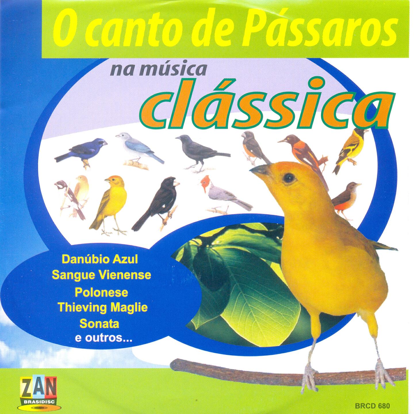 Beethoven Band - Sonata Op.27 Nº2 - 2º Movimento