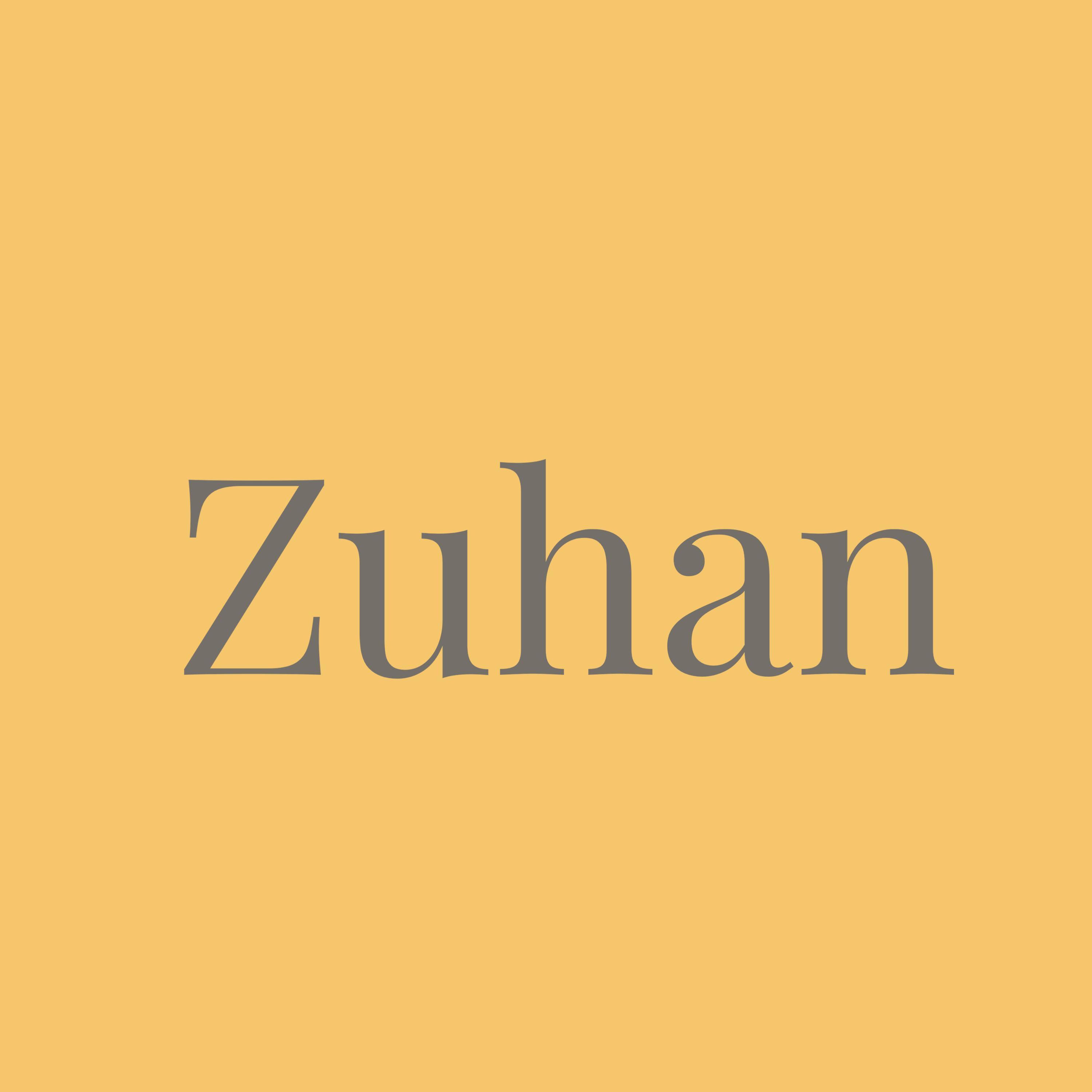 Постер альбома Zuhan