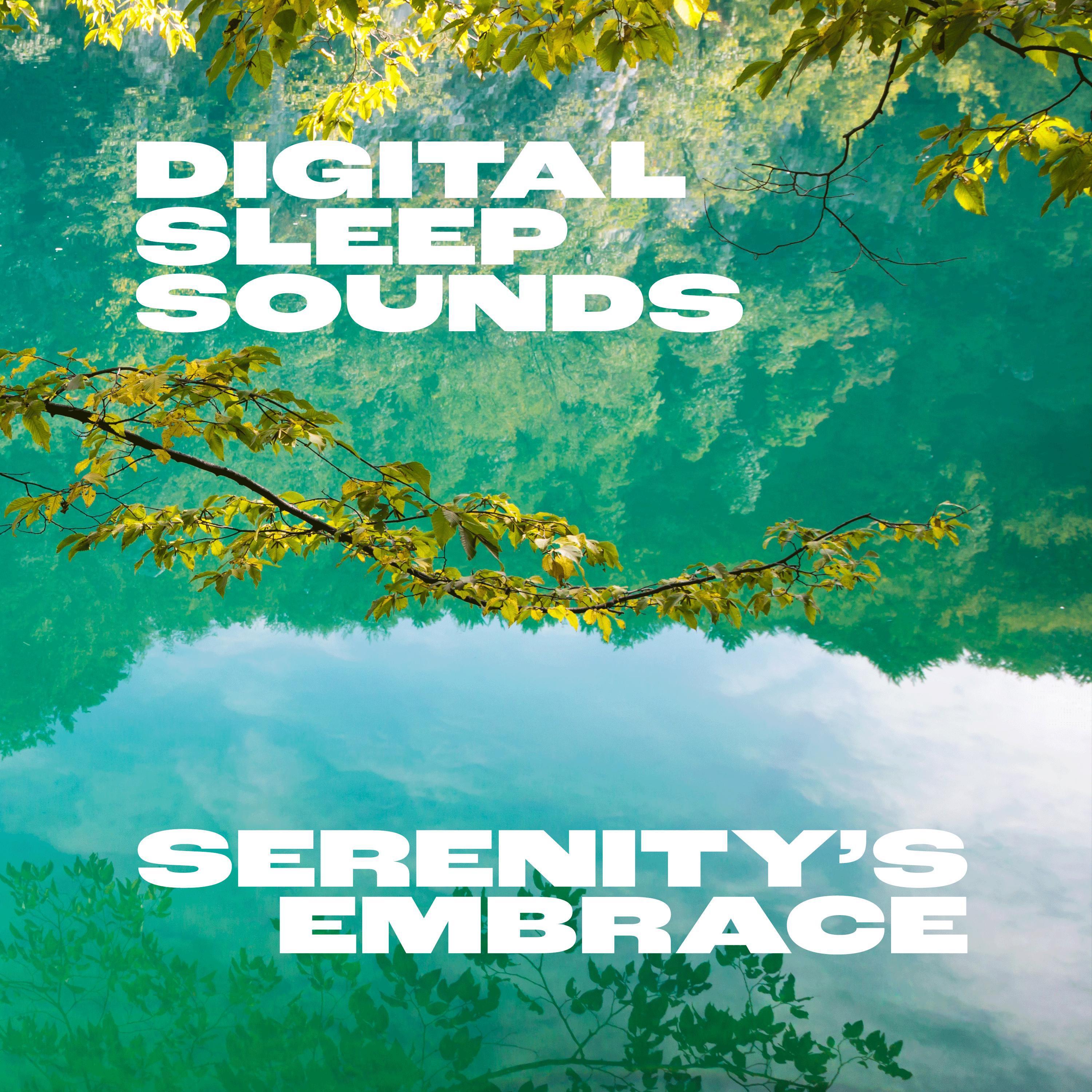 Постер альбома Serenity's Embrace