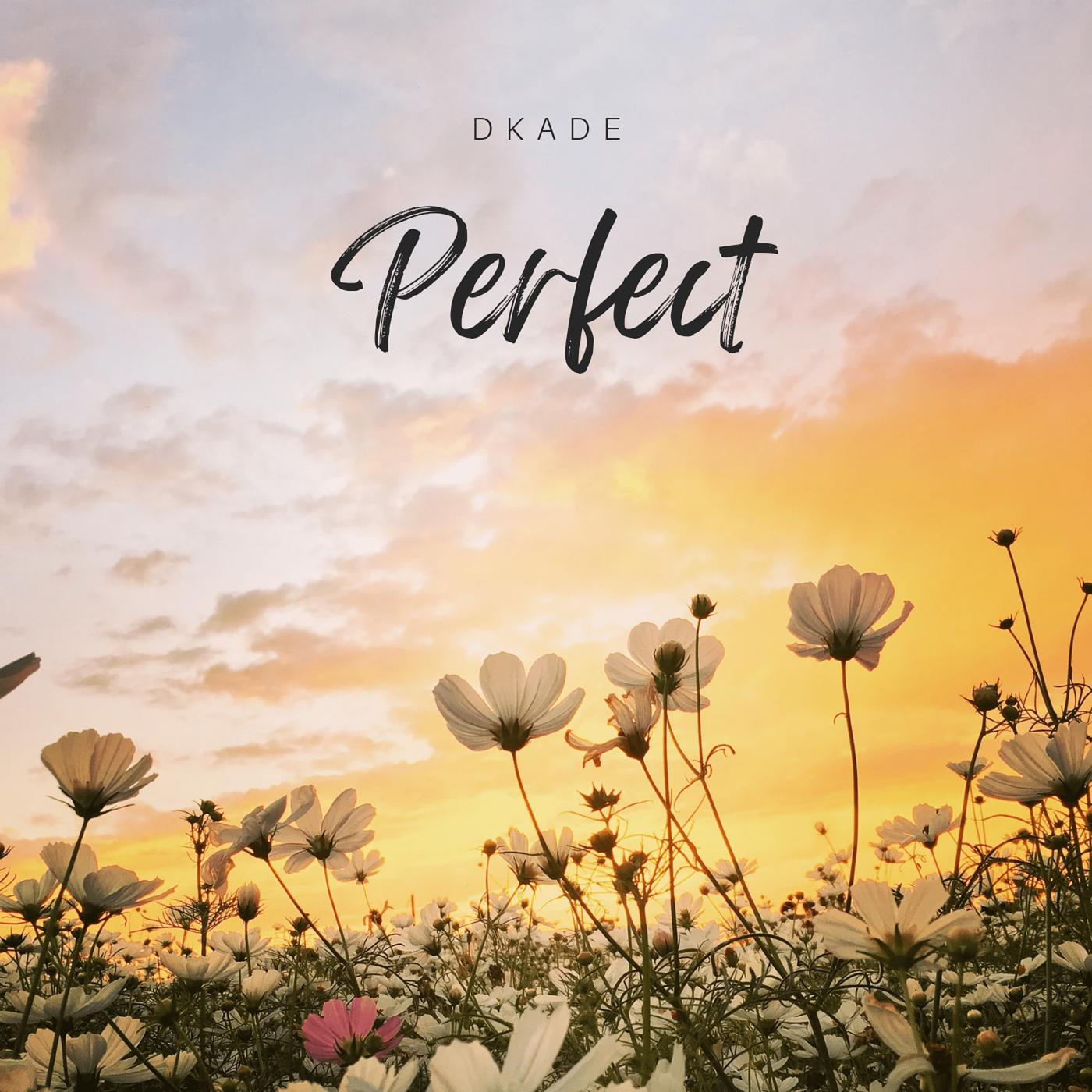 Постер альбома Perfect (Acoustic)