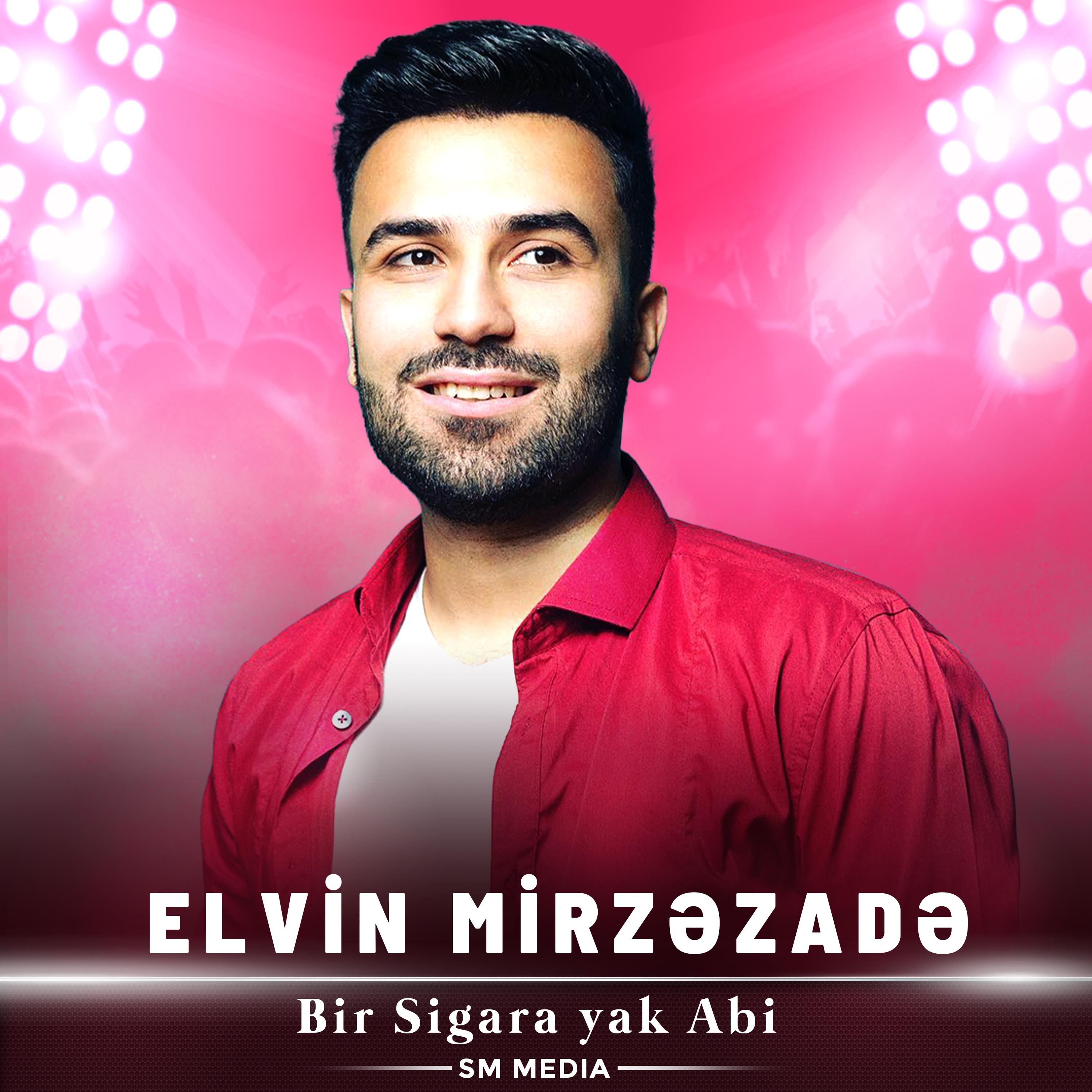 Постер альбома Bir Sigara yak Abi