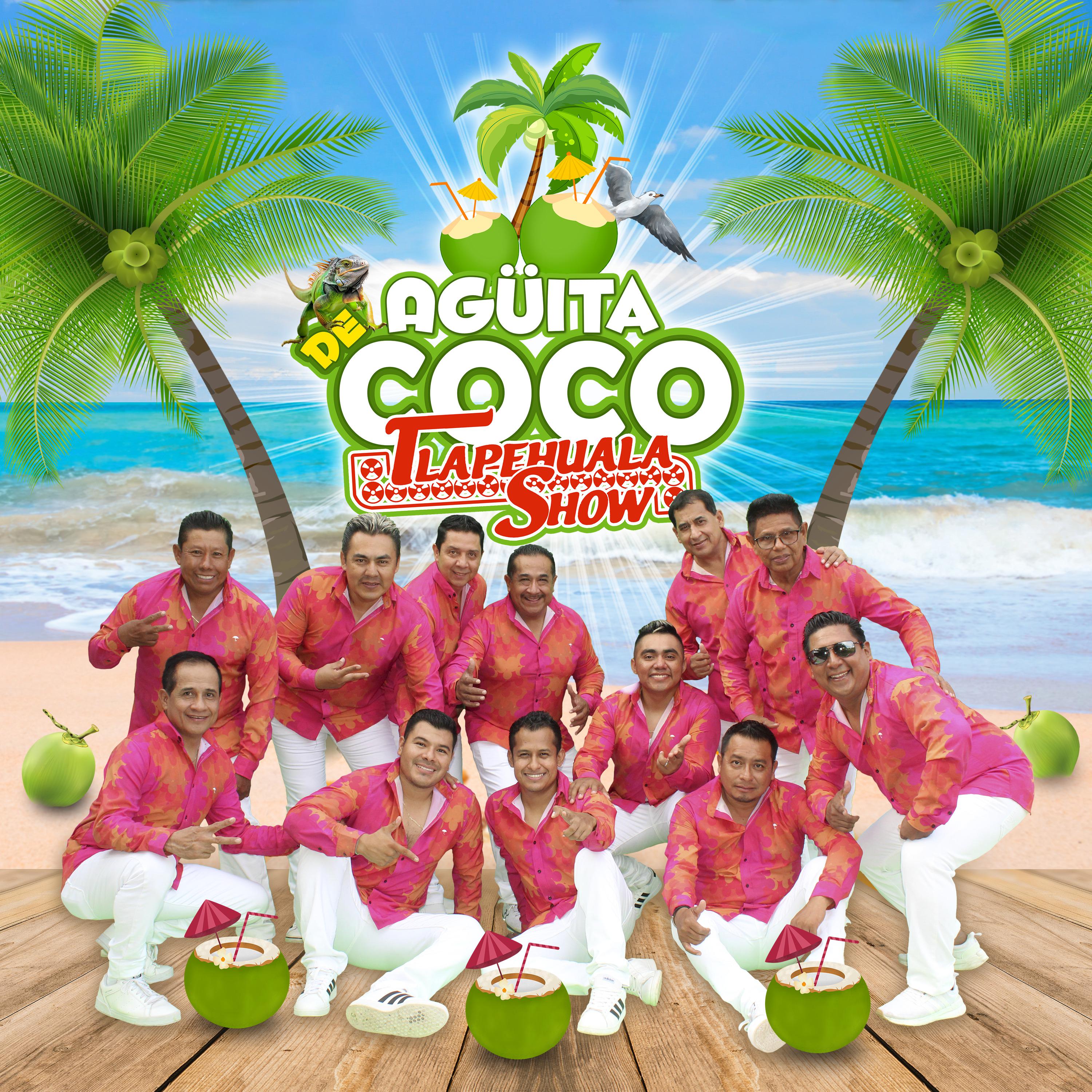 Постер альбома Agüita de Coco