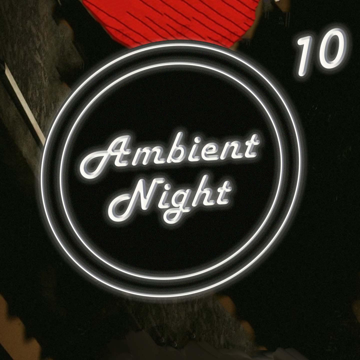 Постер альбома Ambient Nights 10