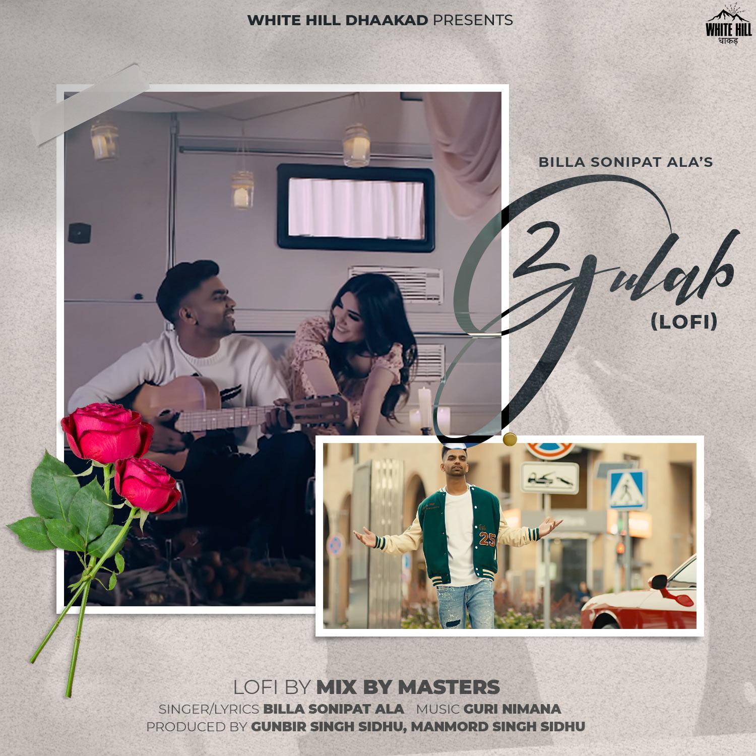 Постер альбома 2 Gulaab (Lofi Version)