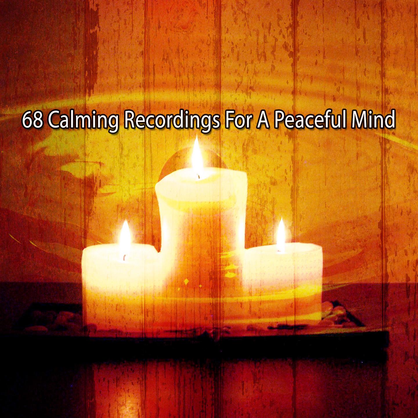 Постер альбома 68 Calming Recordings For A Peaceful Mind