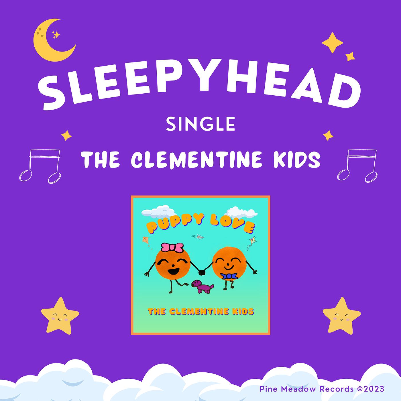 Постер альбома Sleepyhead