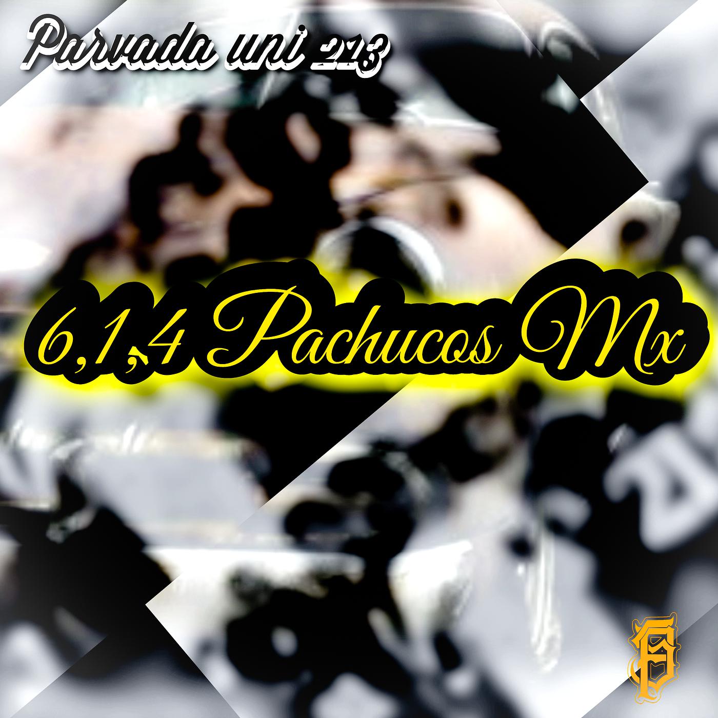 Постер альбома 6,1,4 Pachucos Mx