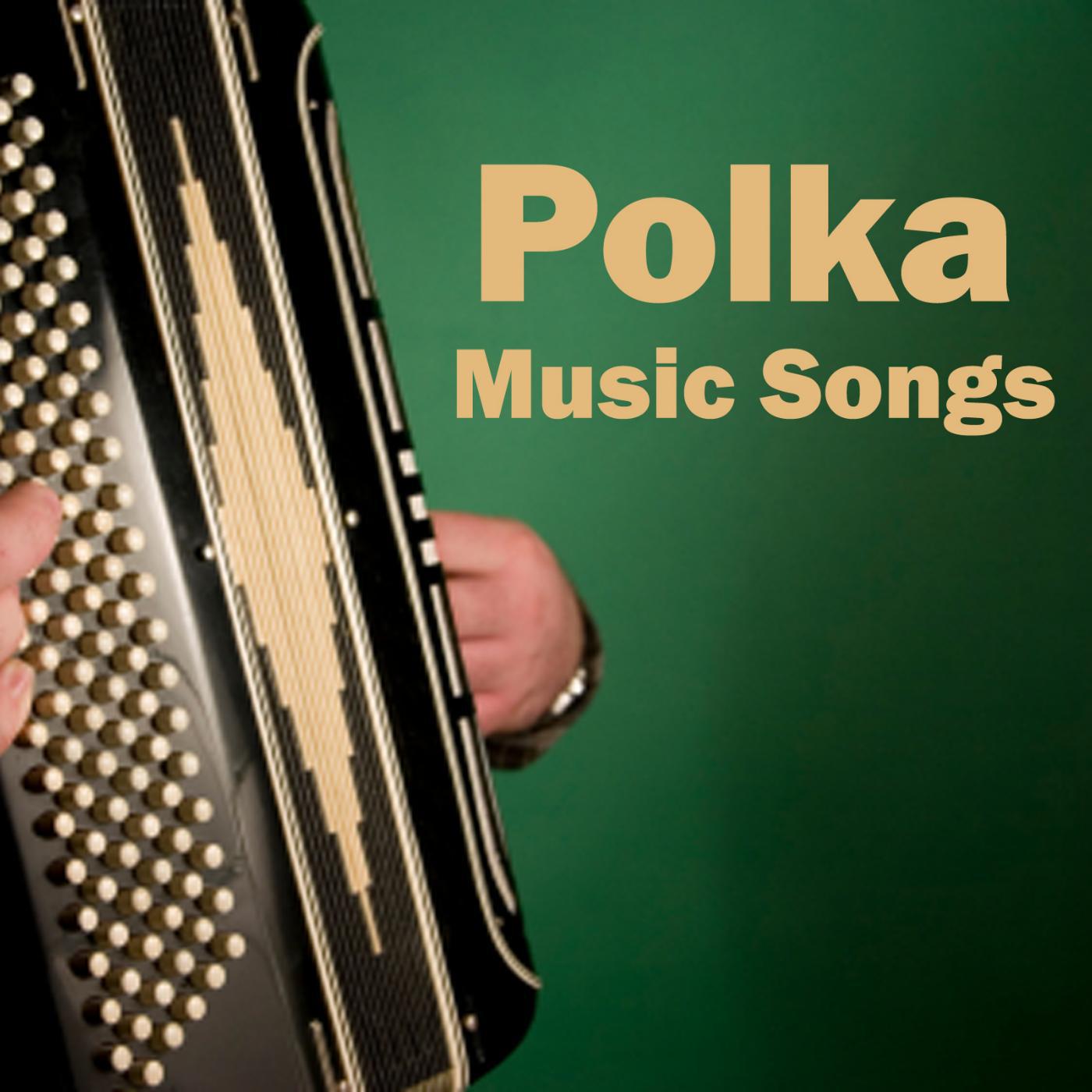 Постер альбома Polka Music Songs