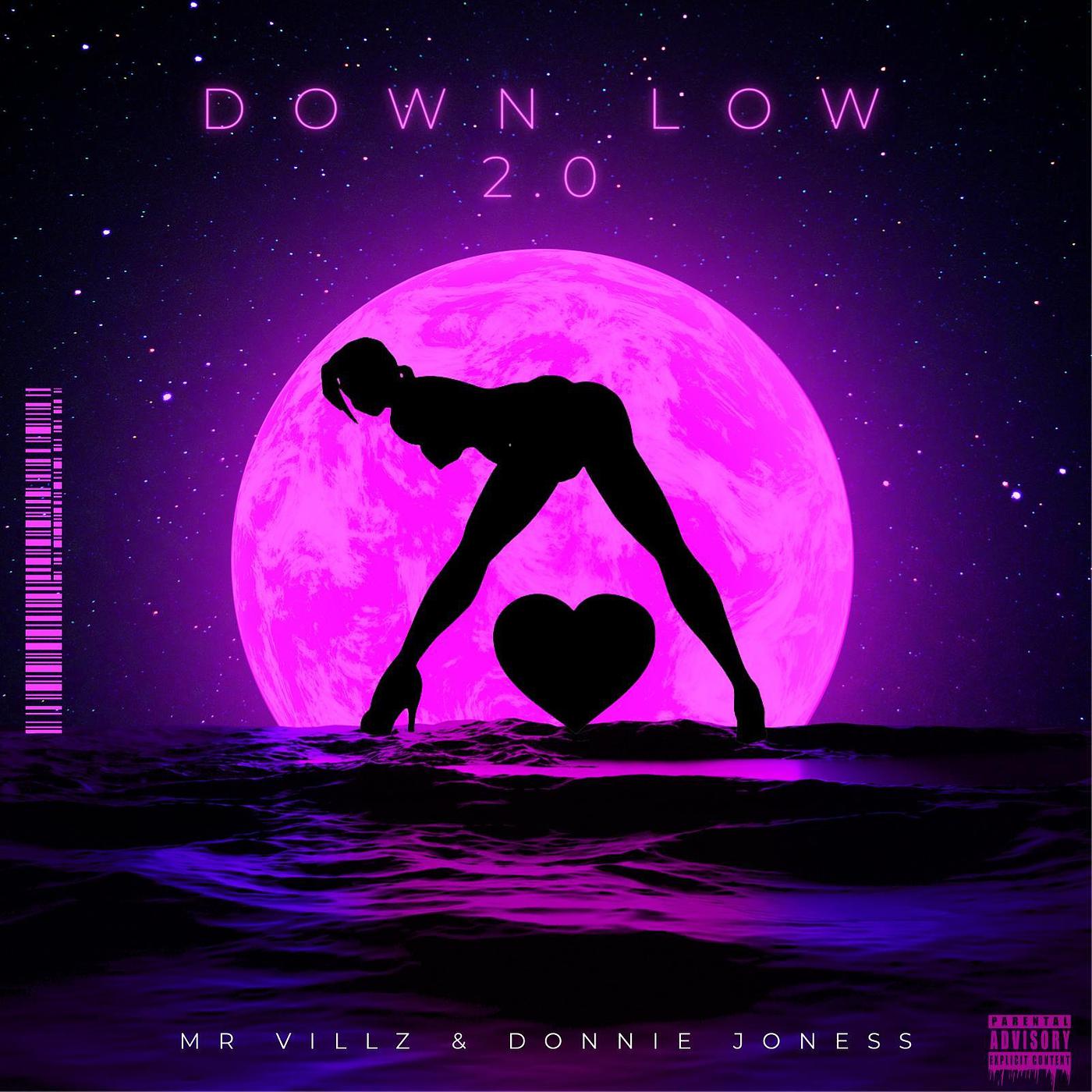 Постер альбома Down Low 2.0