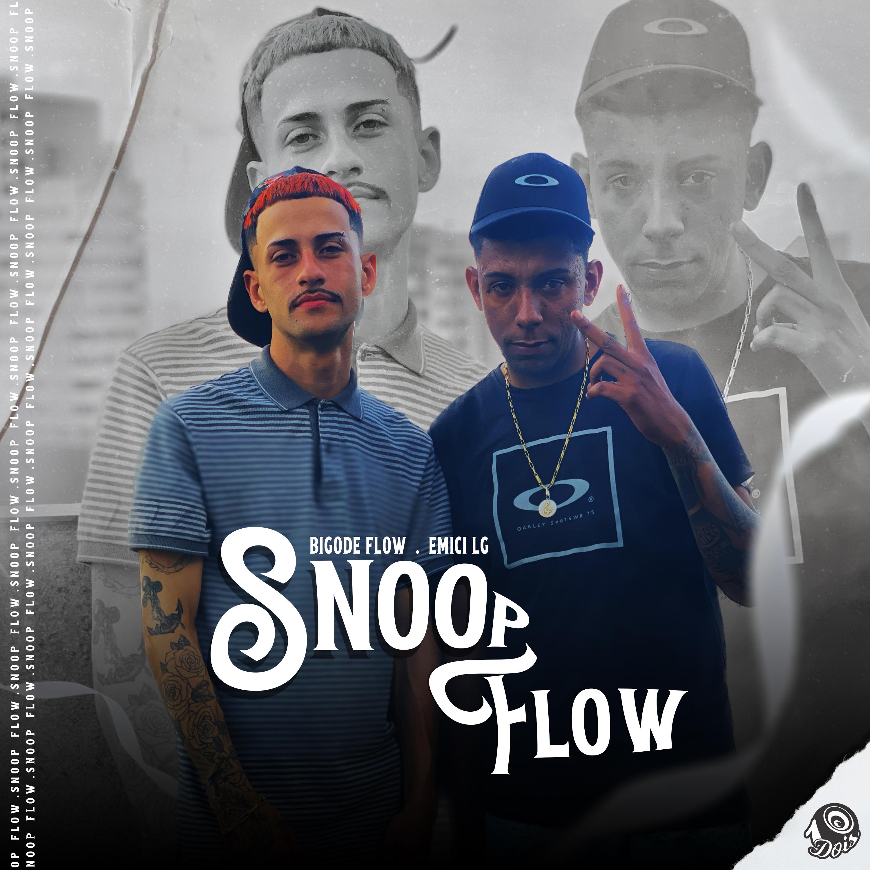 Постер альбома Snoop Flow