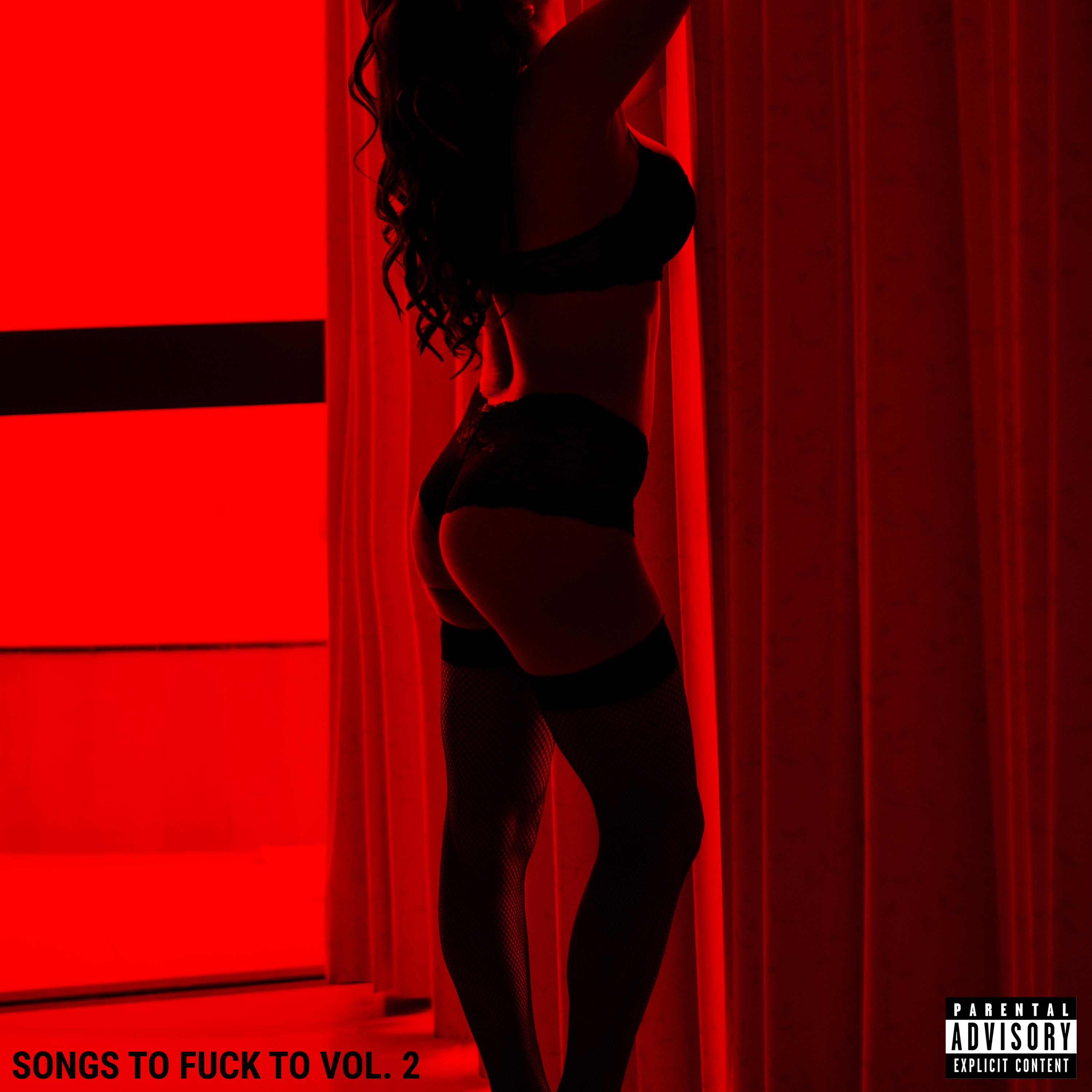 Постер альбома Songs To Fuck To, Vol. 2