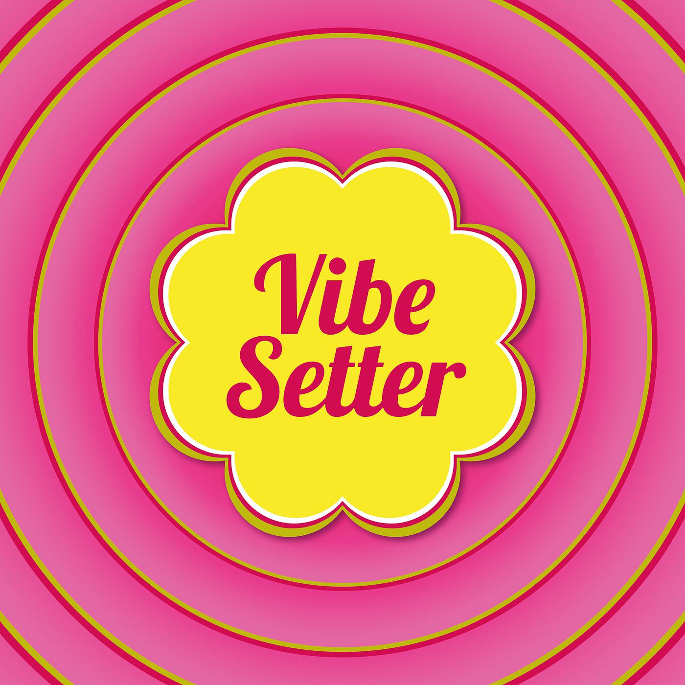 Постер альбома Vibe Setter