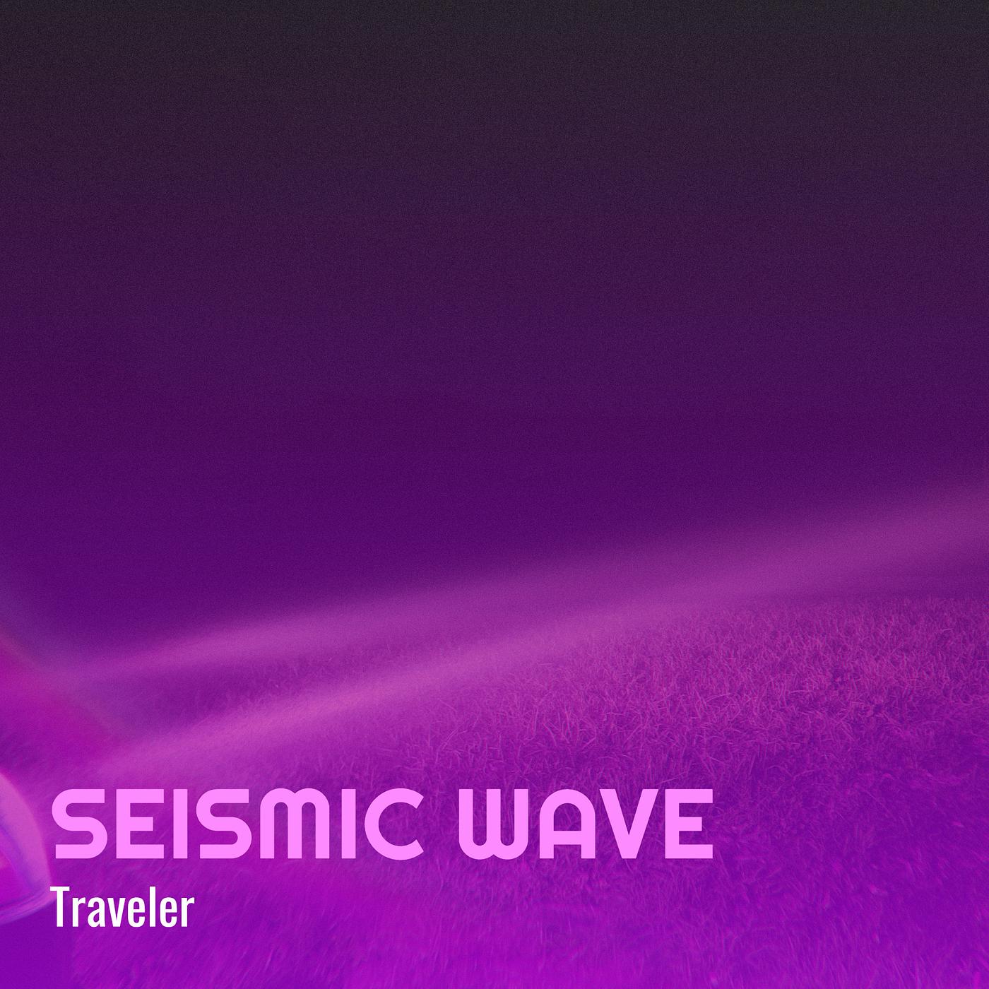 Постер альбома Seismic Wave