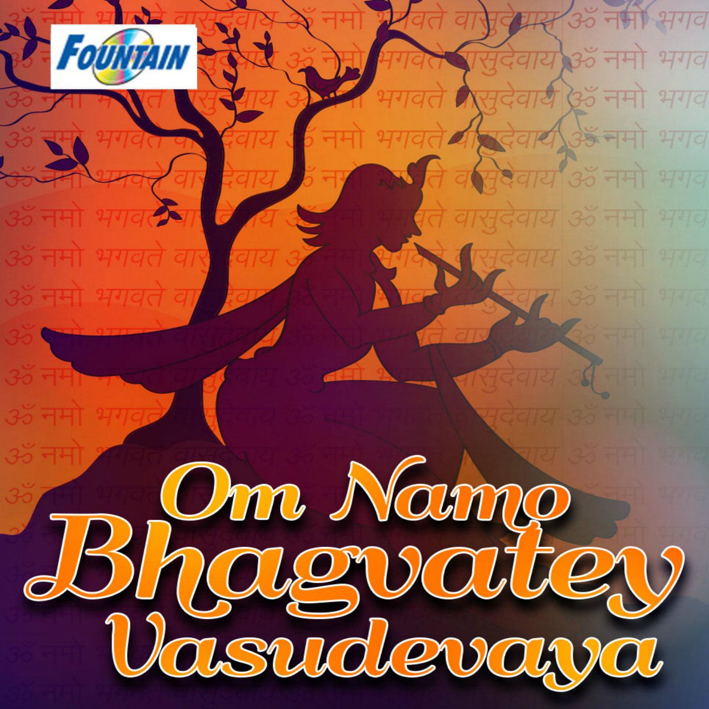 Постер альбома Om Namo Bhagvatey Vasudevaya