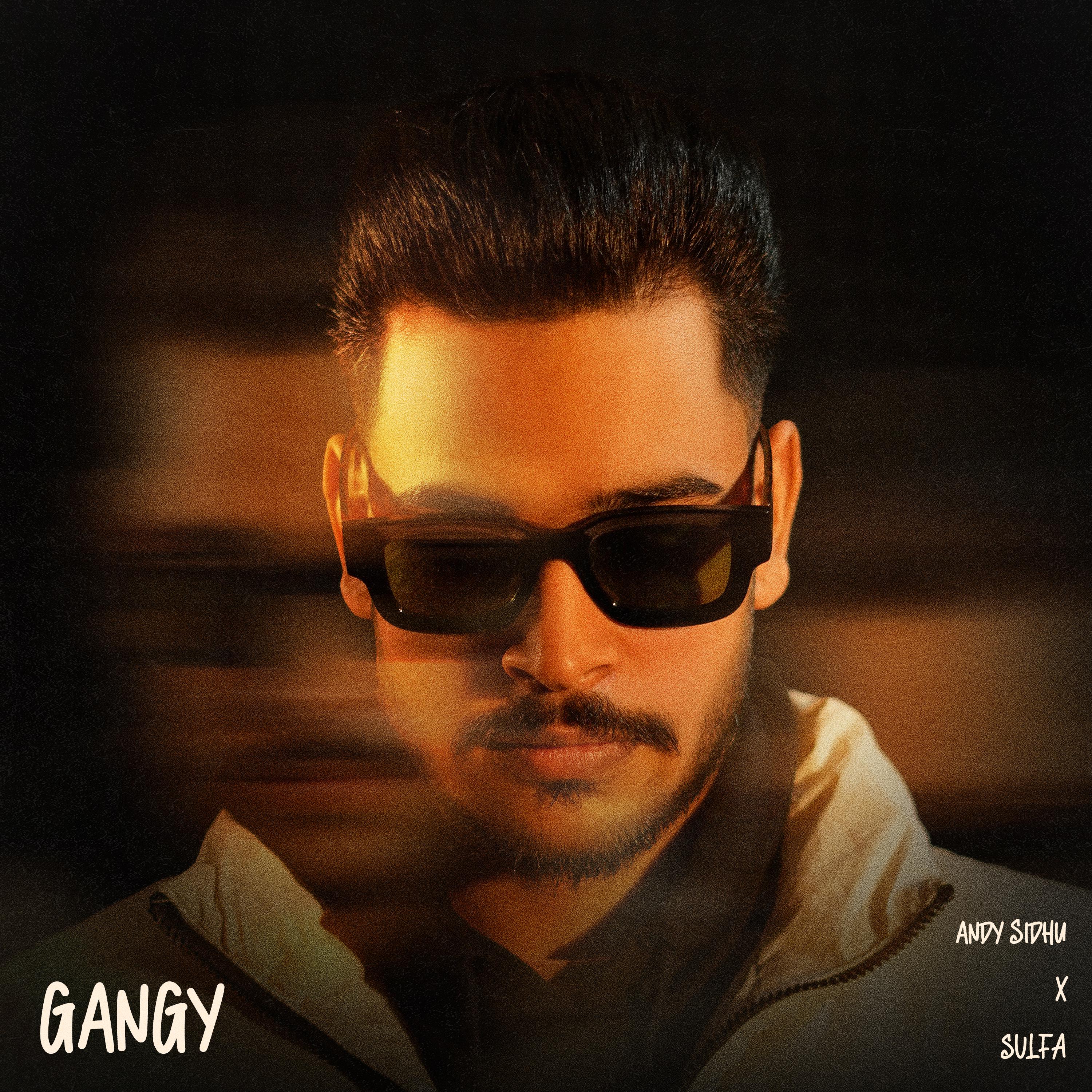 Постер альбома Gangy