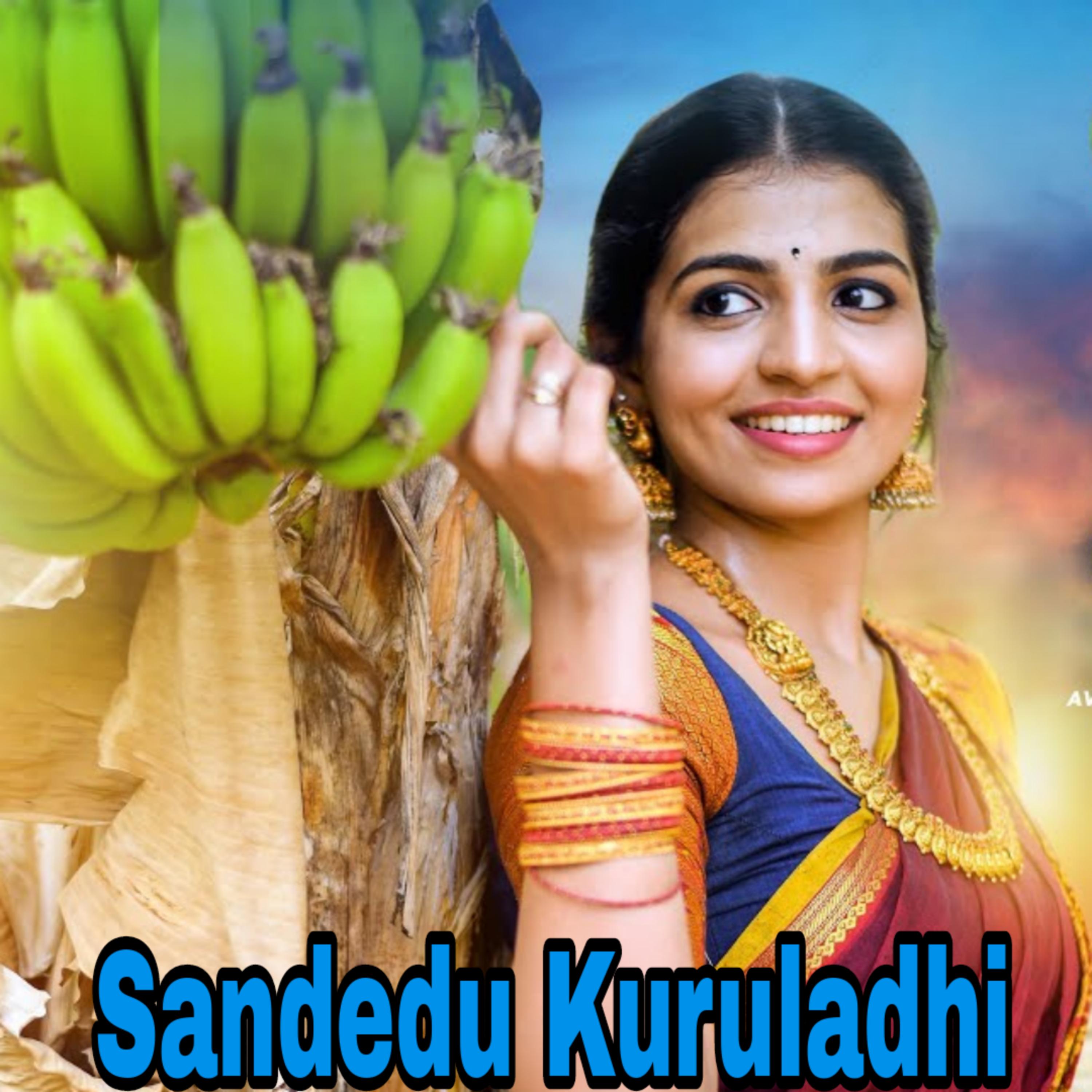 Постер альбома Sandedu Kuruladhi