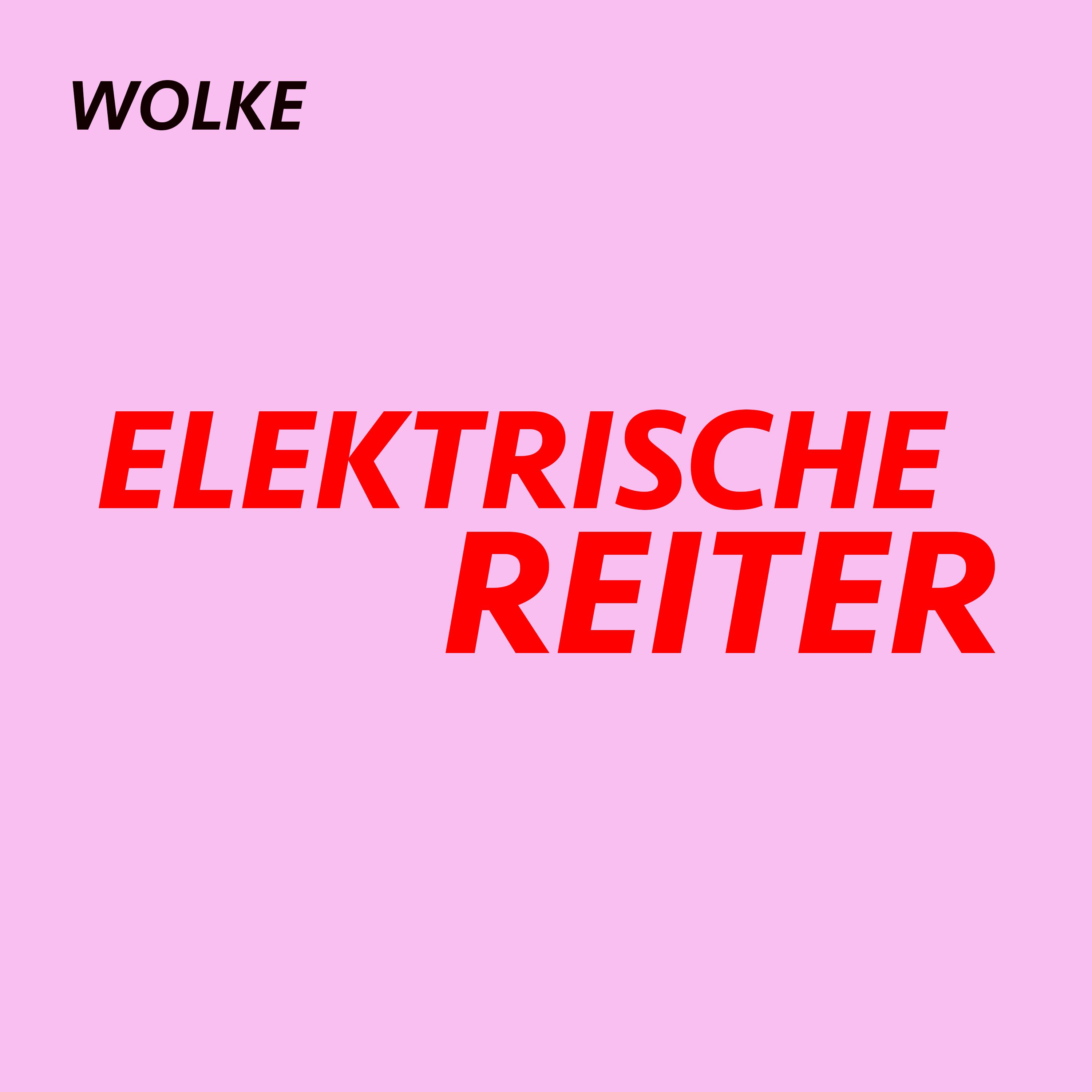 Постер альбома Elektrische Reiter