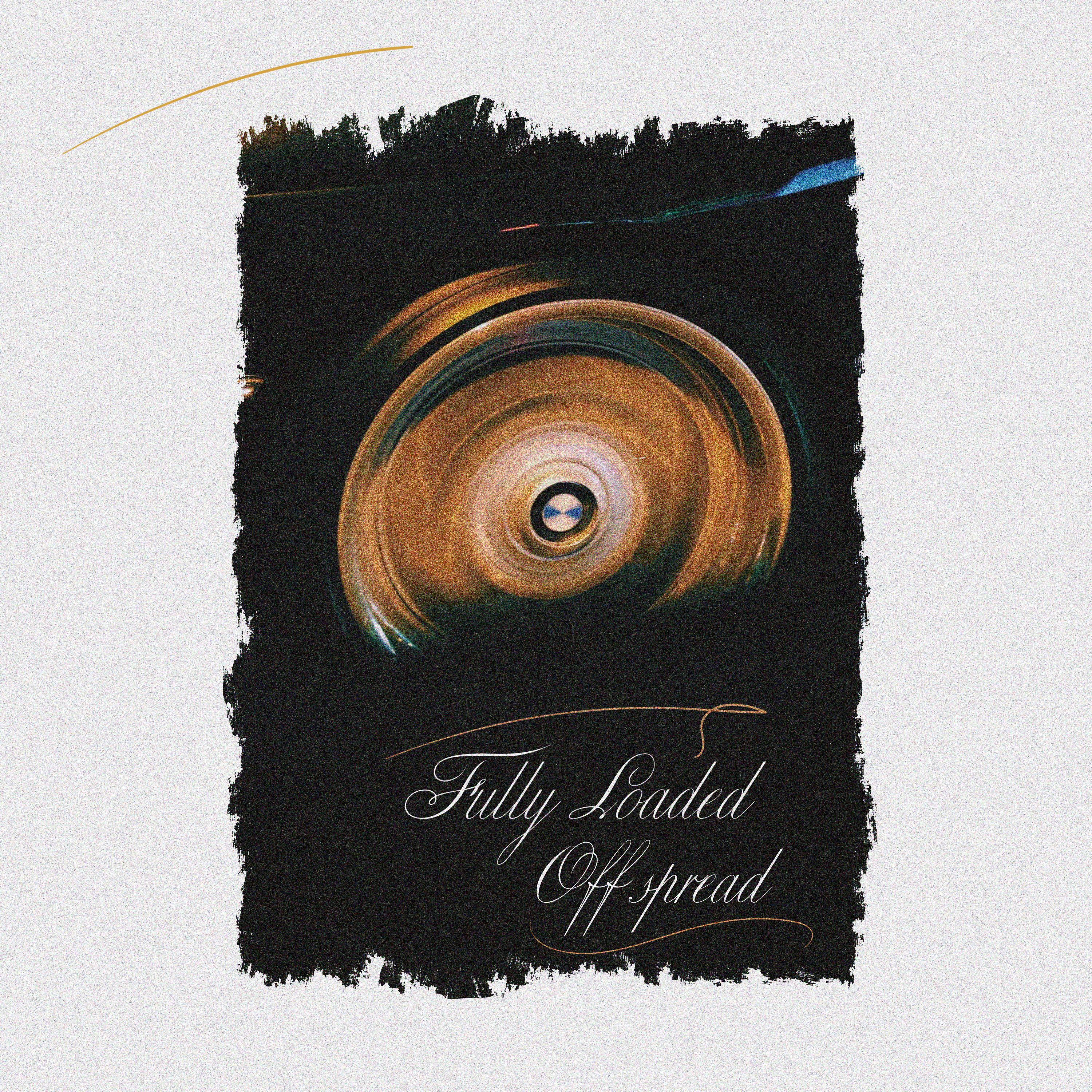 Постер альбома Fully Loaded (prod. by Acid Timmy)