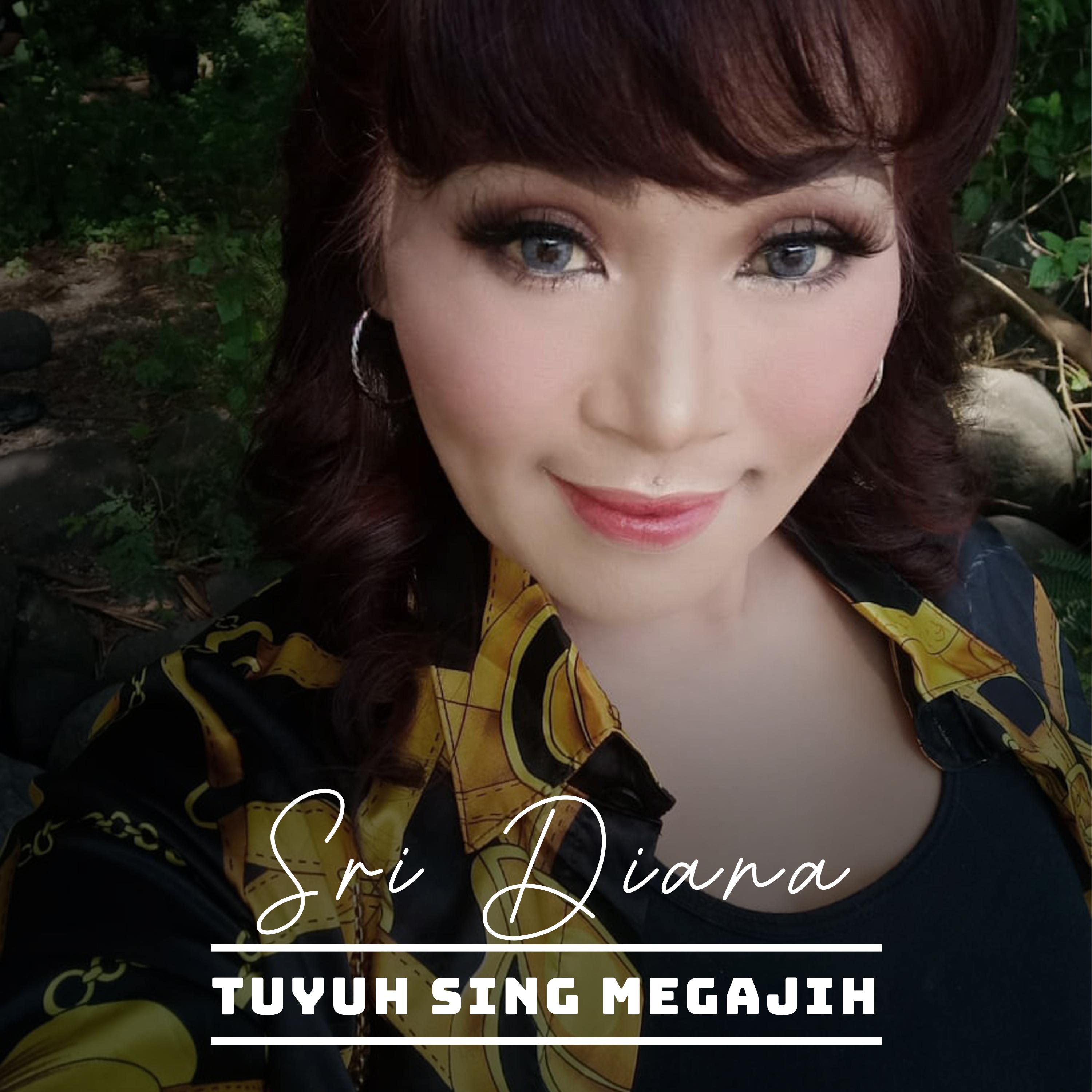 Постер альбома Tuyuh Sing Megajih