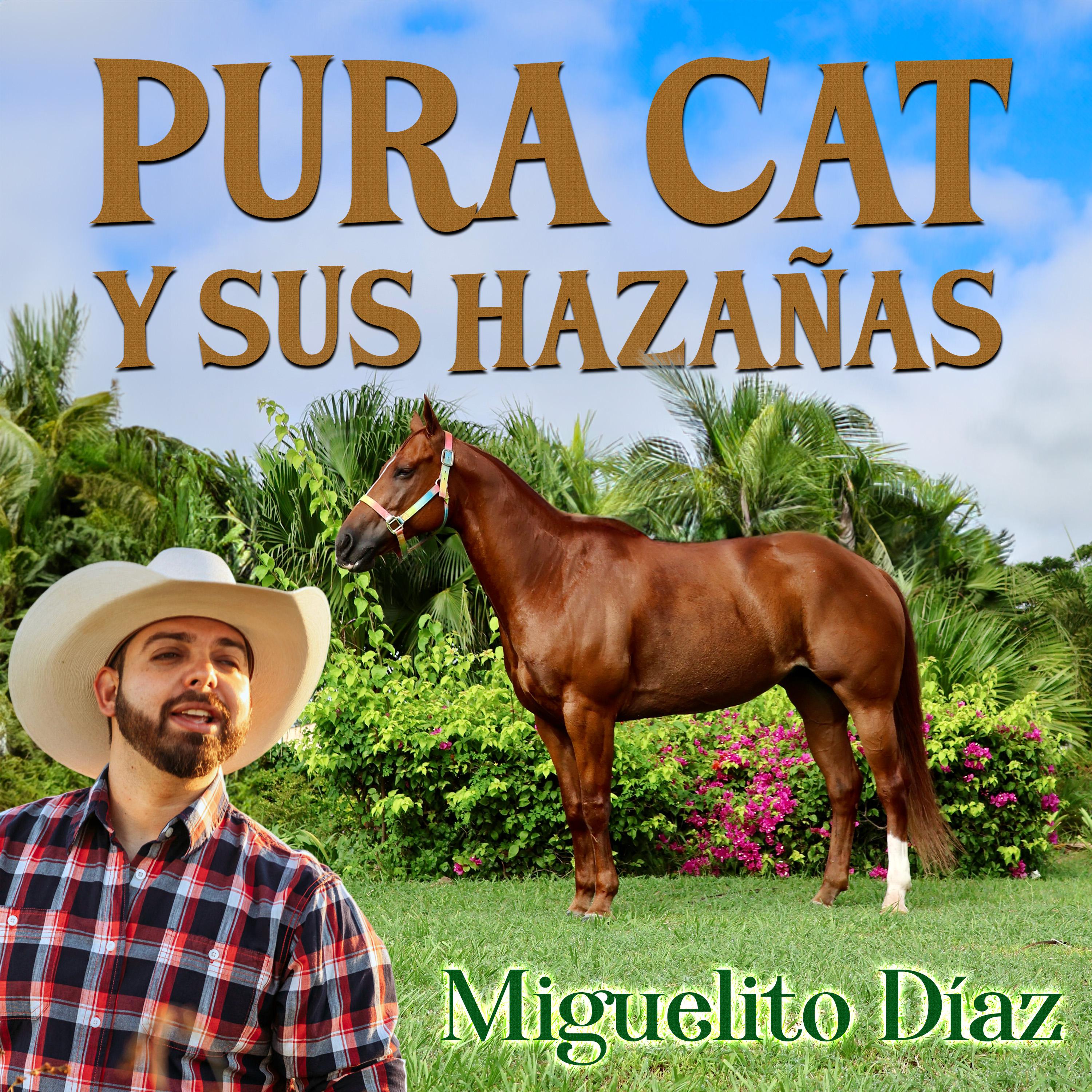 Постер альбома Pura Cat y sus Hazañas