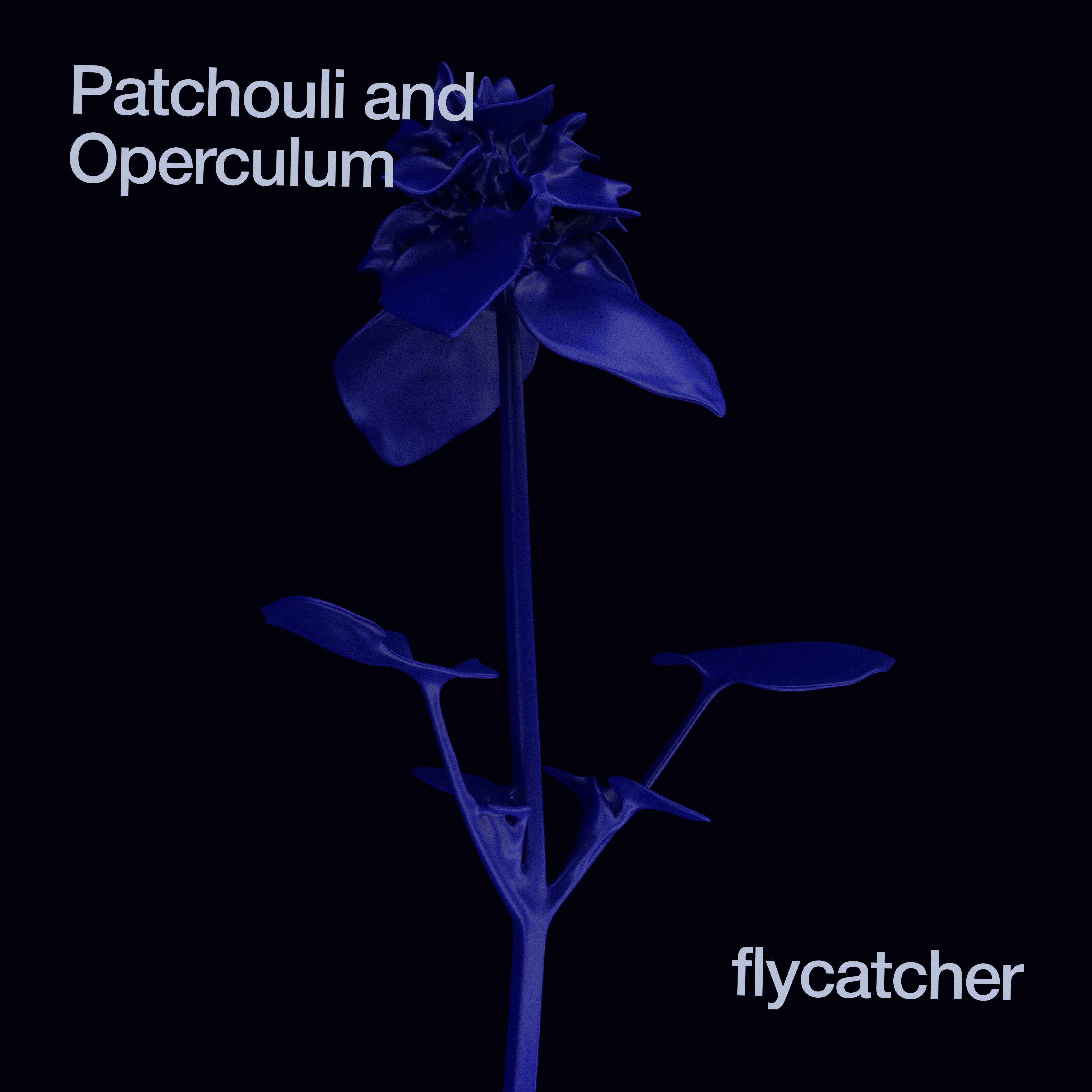 Постер альбома Patchouli and Operculum