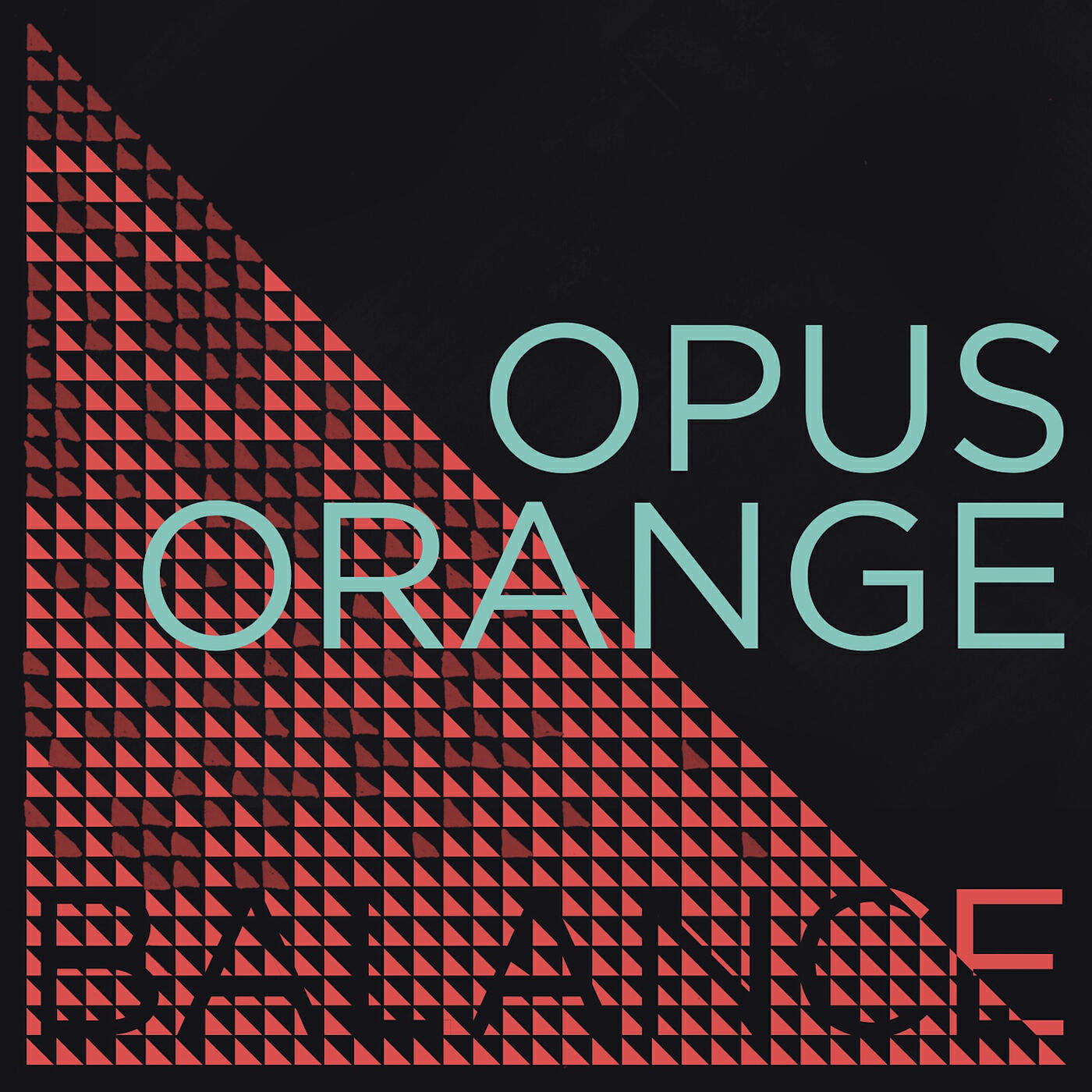 Opus Orange - In the Dark