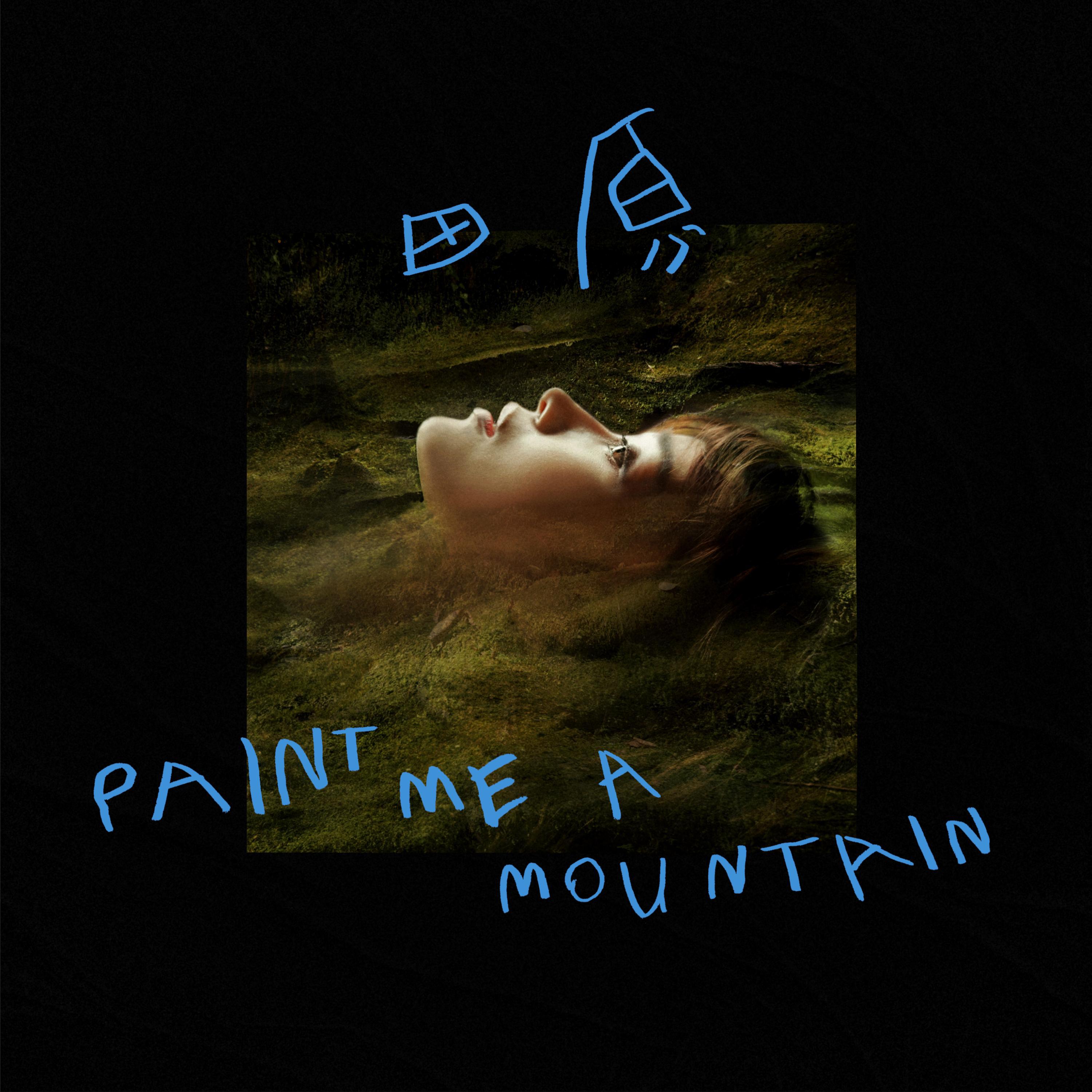 Постер альбома Paint Me a Mountain