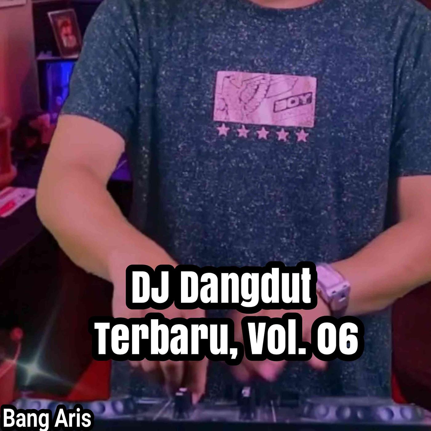 Постер альбома DJ Dangdut Terbaru, Vol. 06