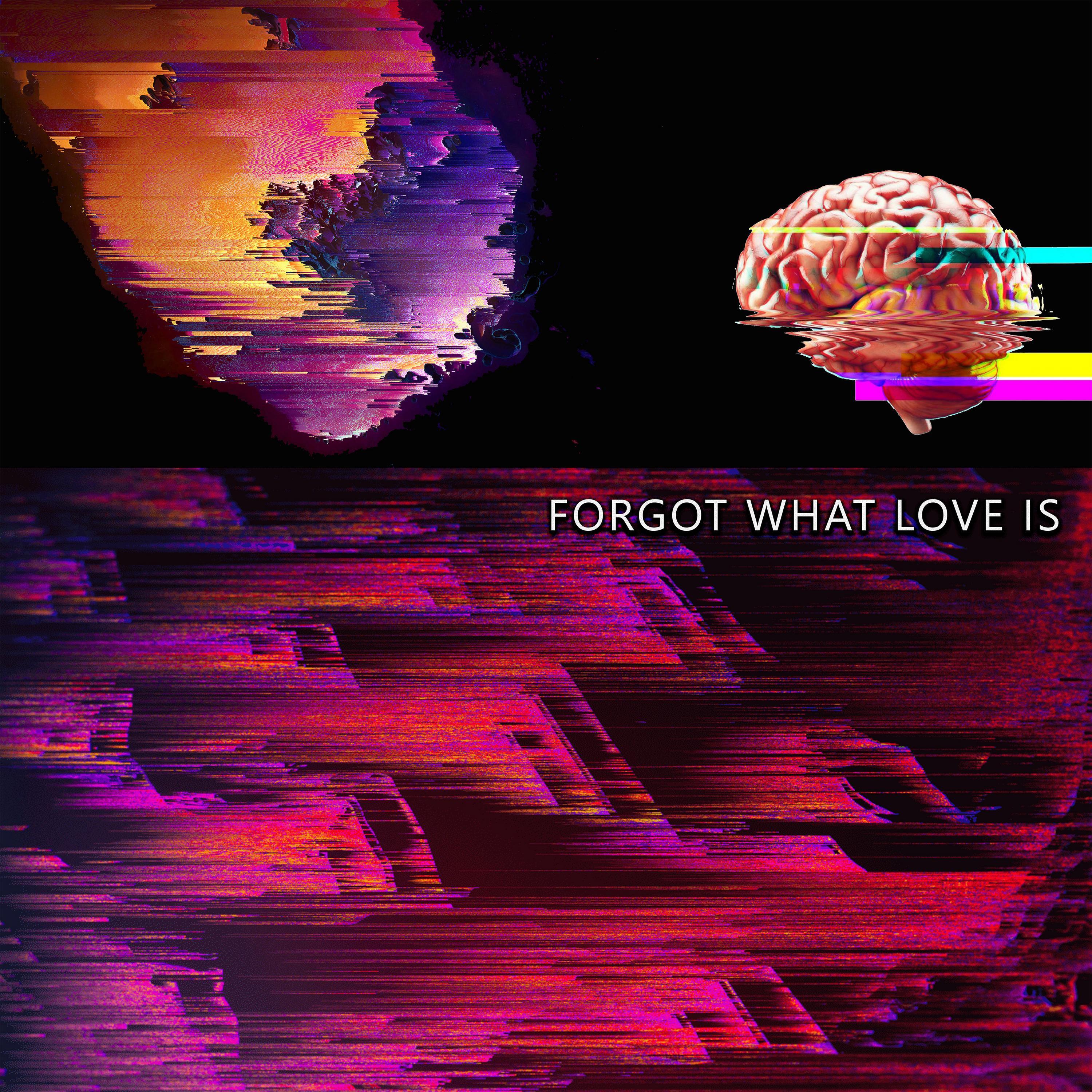 Постер альбома Forgot What Love Is