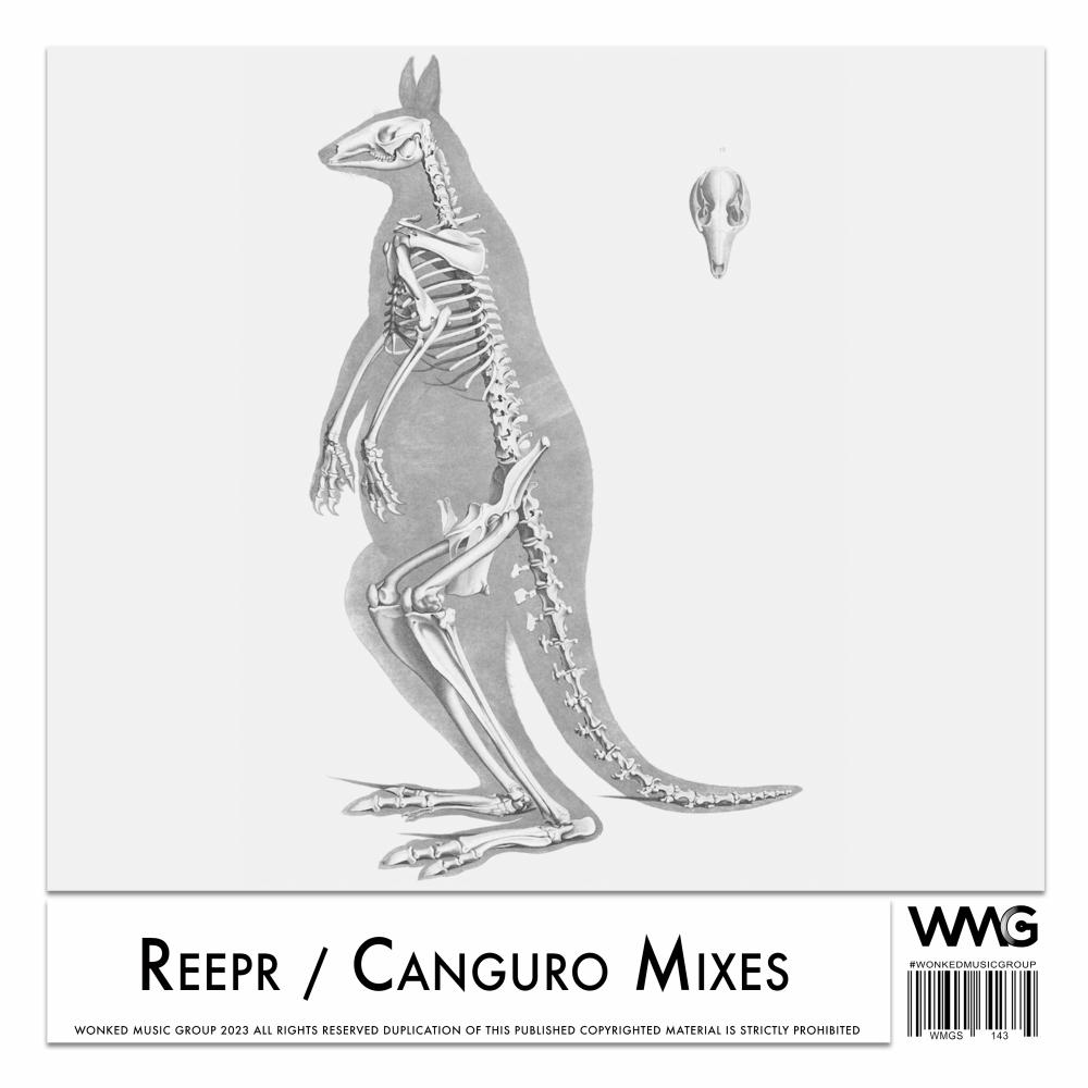 Постер альбома Canguro Mixes