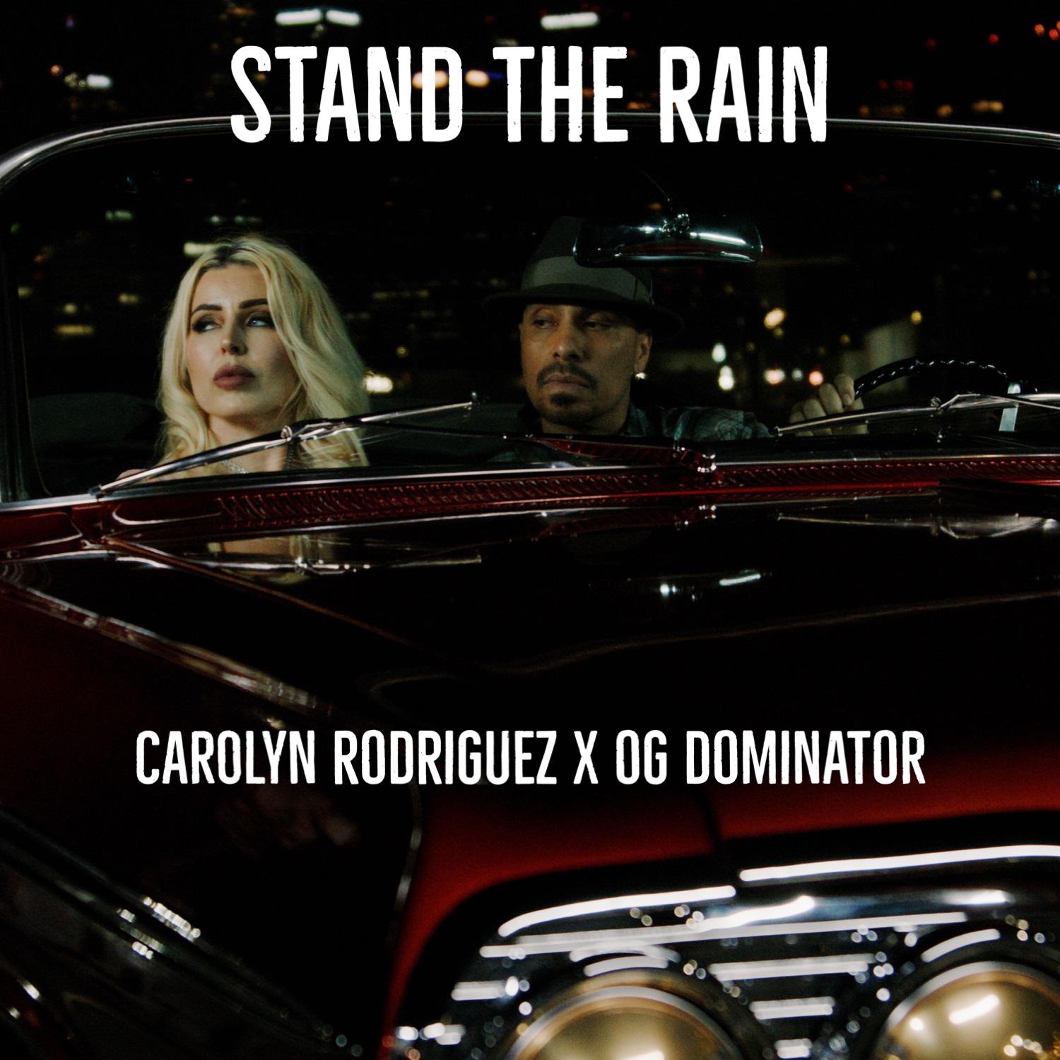 Постер альбома Stand The Rain