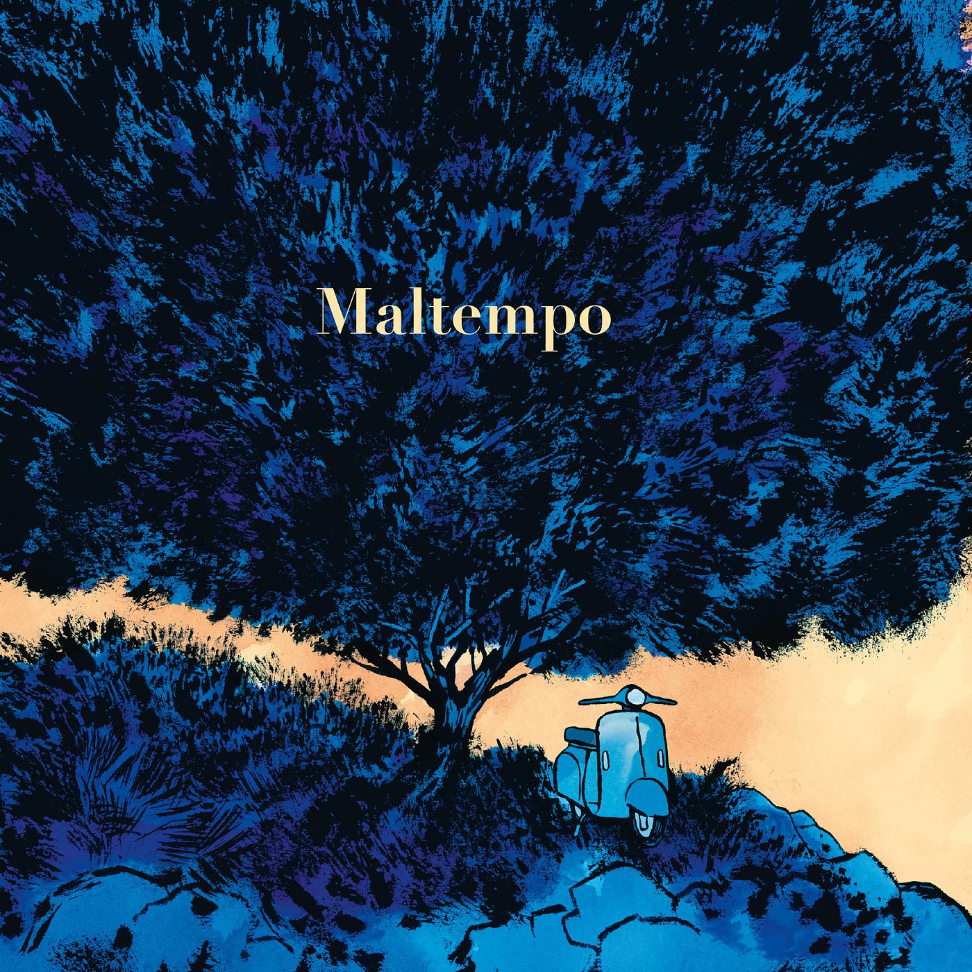 Постер альбома Maltempo