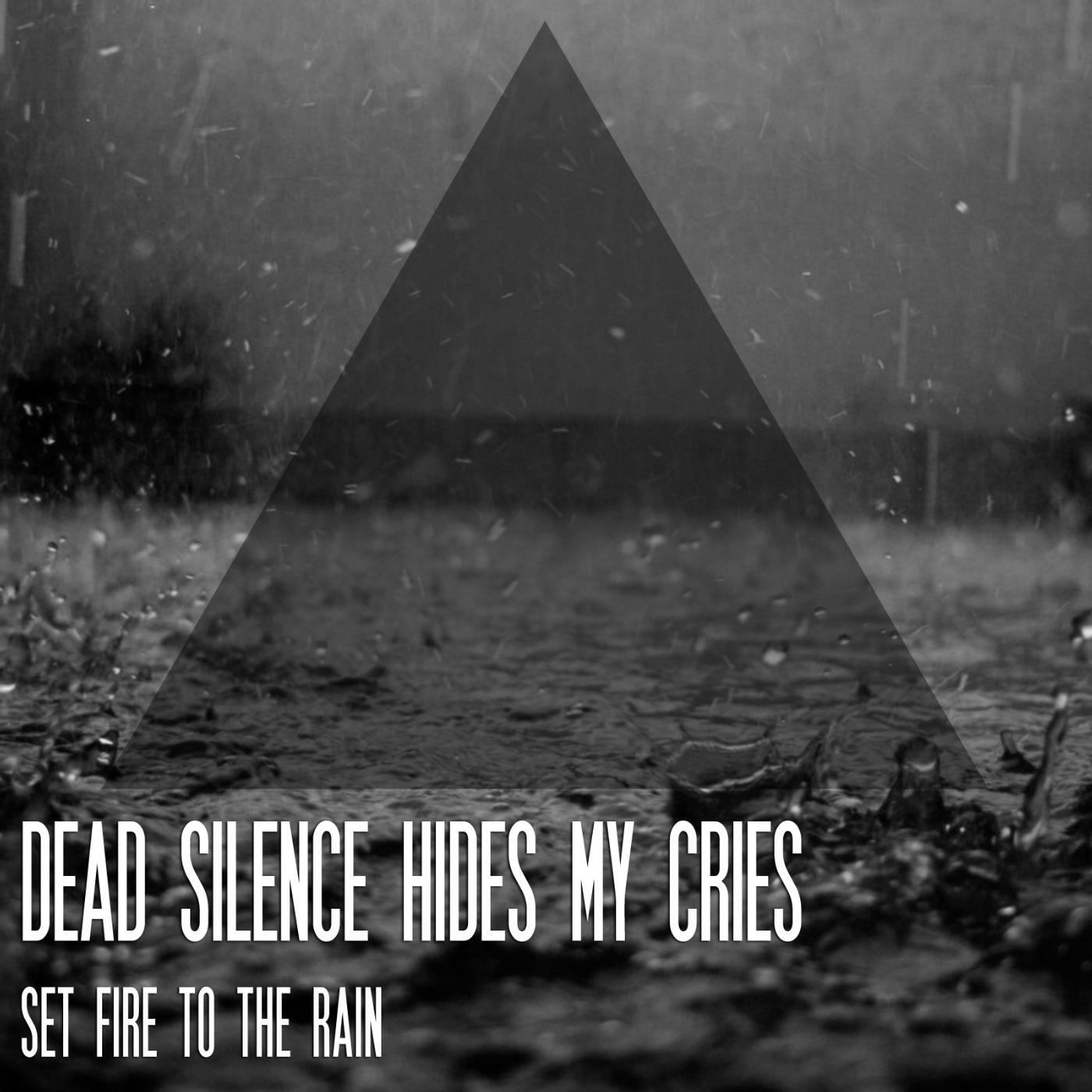 Dead Silence Hides My Cries - Set Fire to the Rain (Cover)