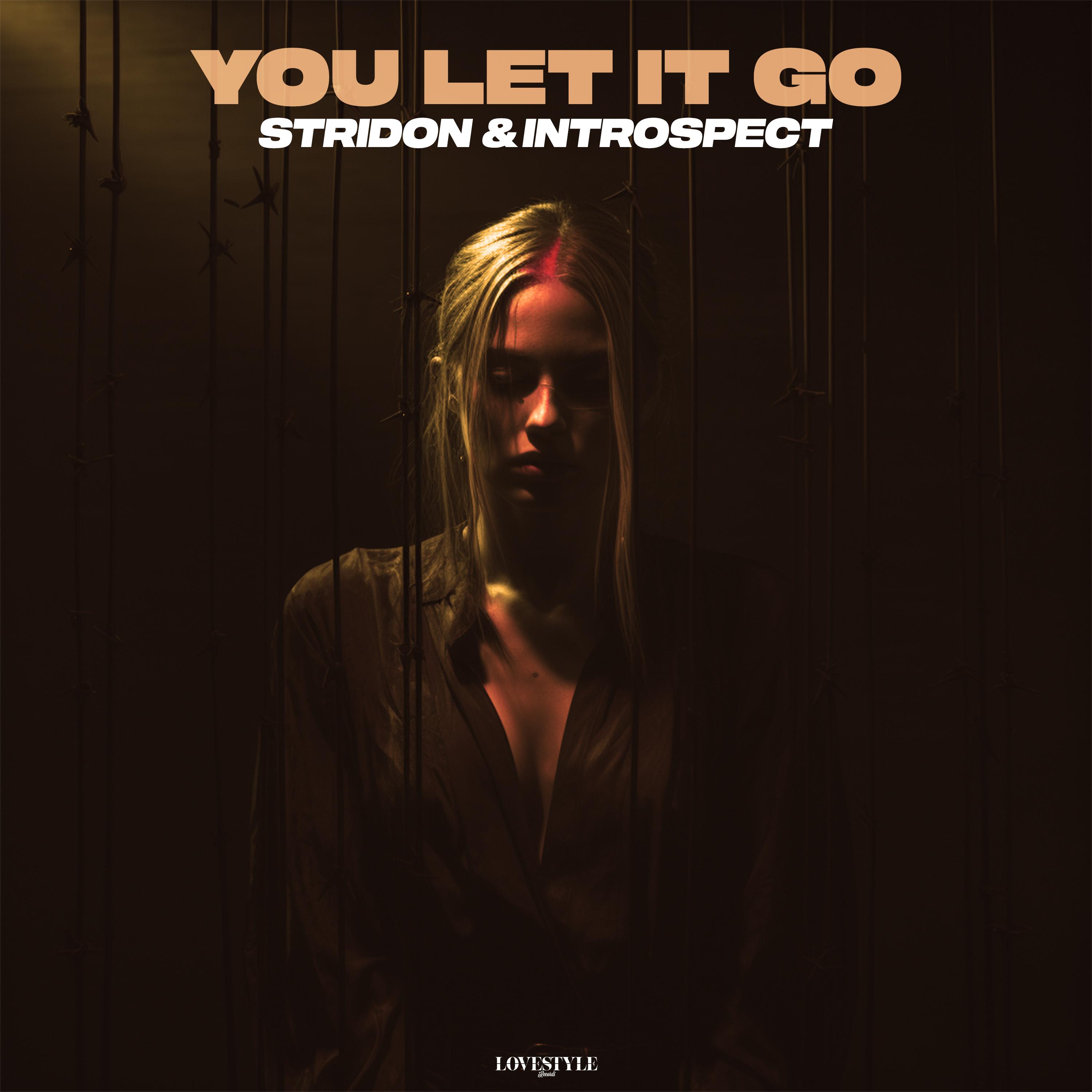 Постер альбома You Let It Go