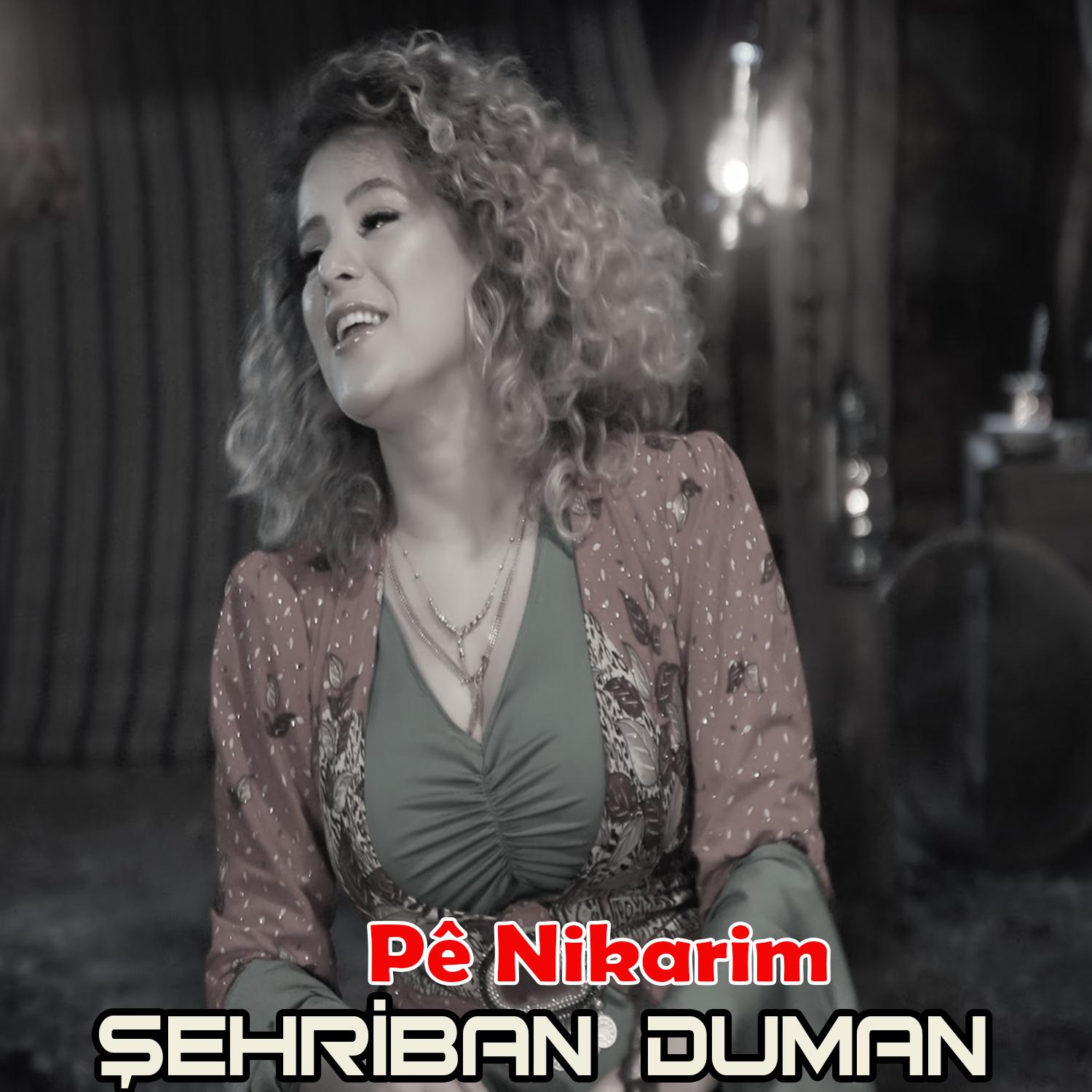 Постер альбома Pê Nikarim