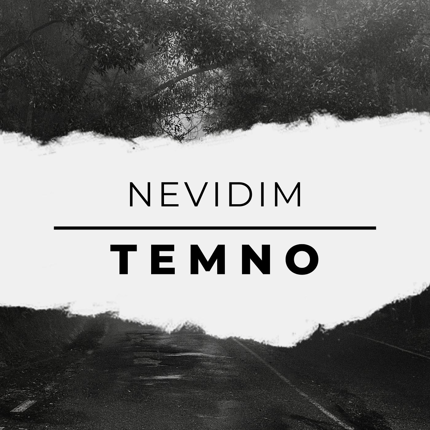 Постер альбома Nevidim Temno