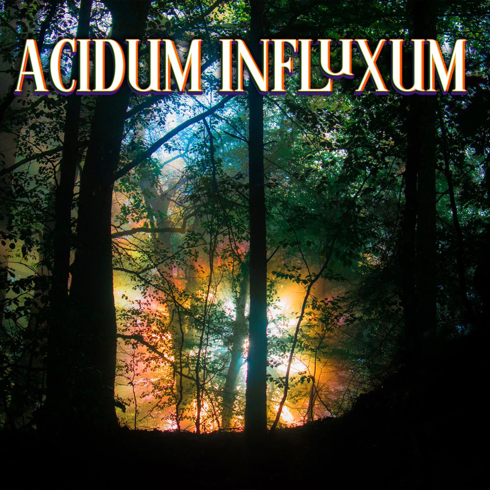 Постер альбома Acidum Influxum