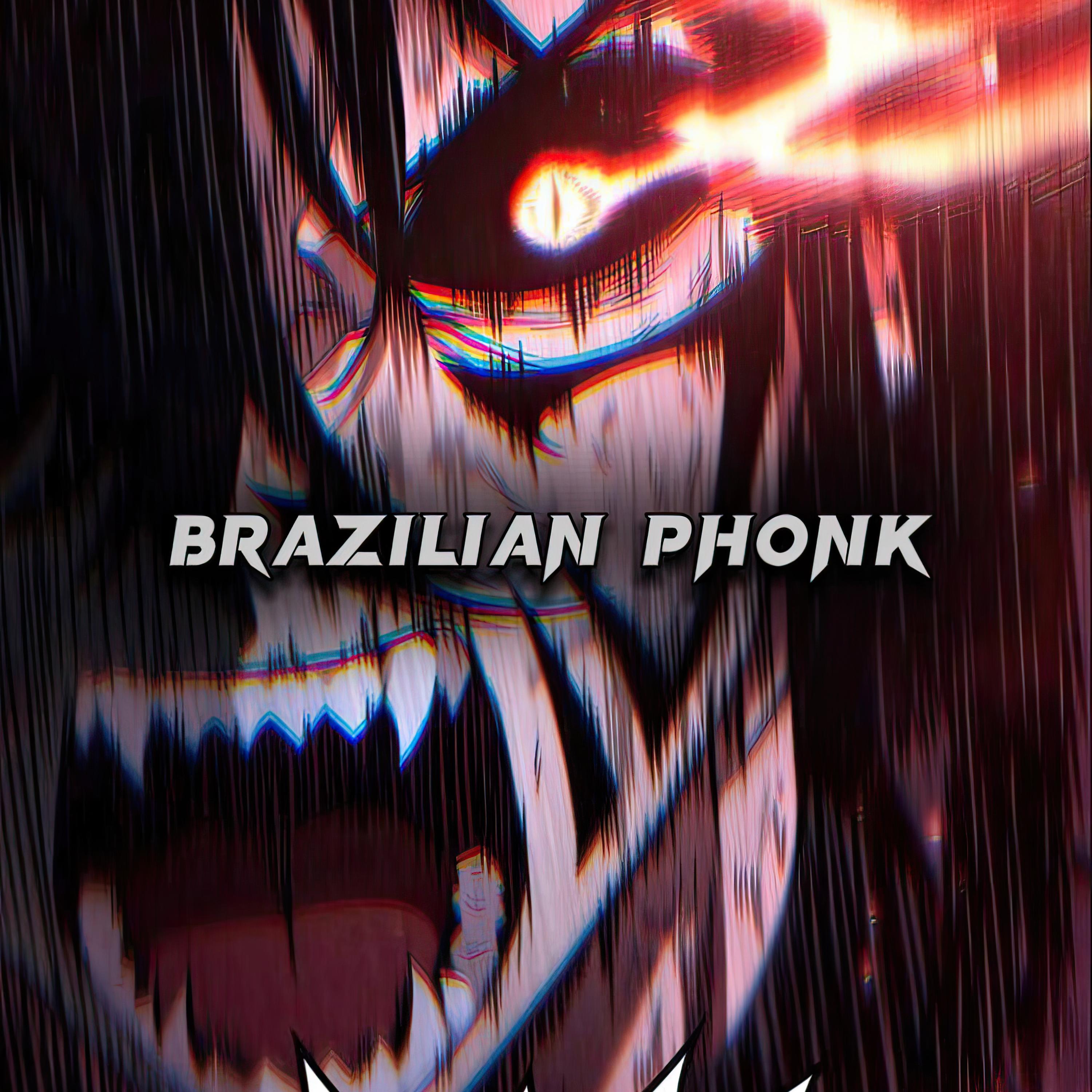 Постер альбома BRAZILIAN FONK