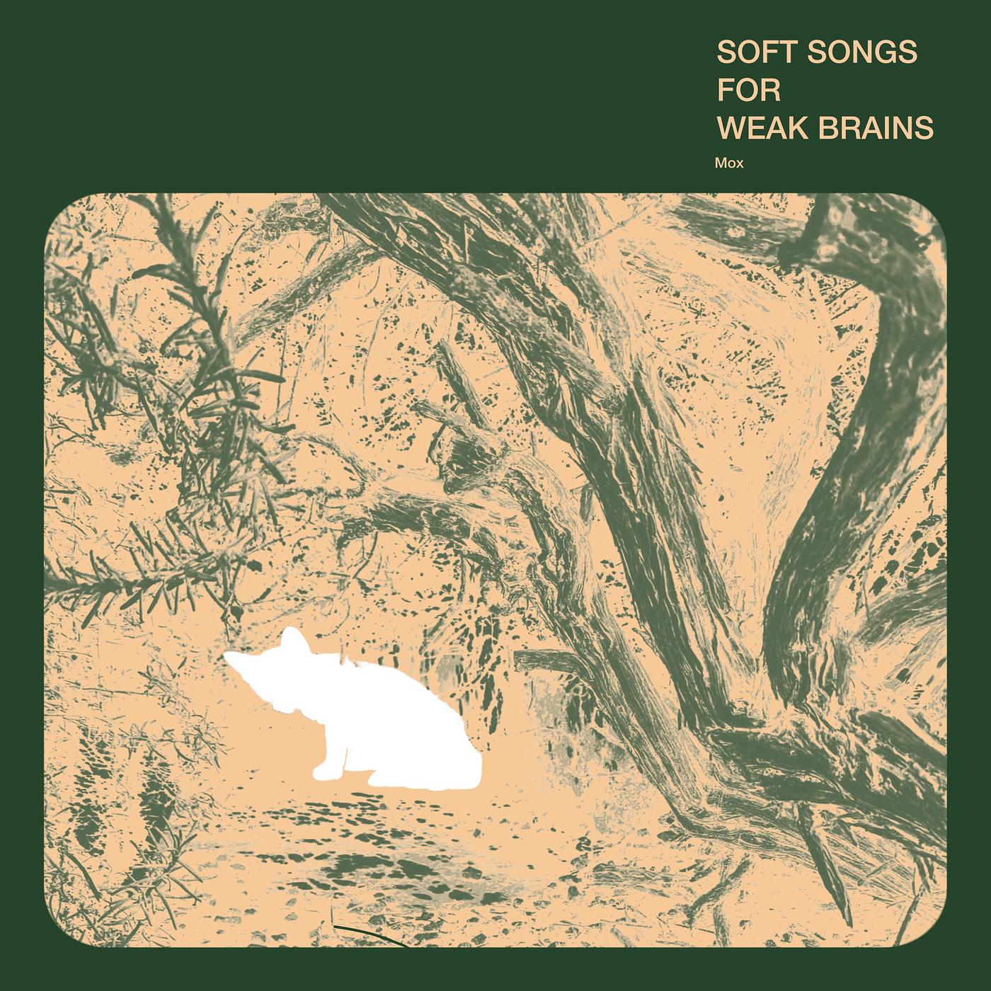 Постер альбома Soft Songs for Weak Brains