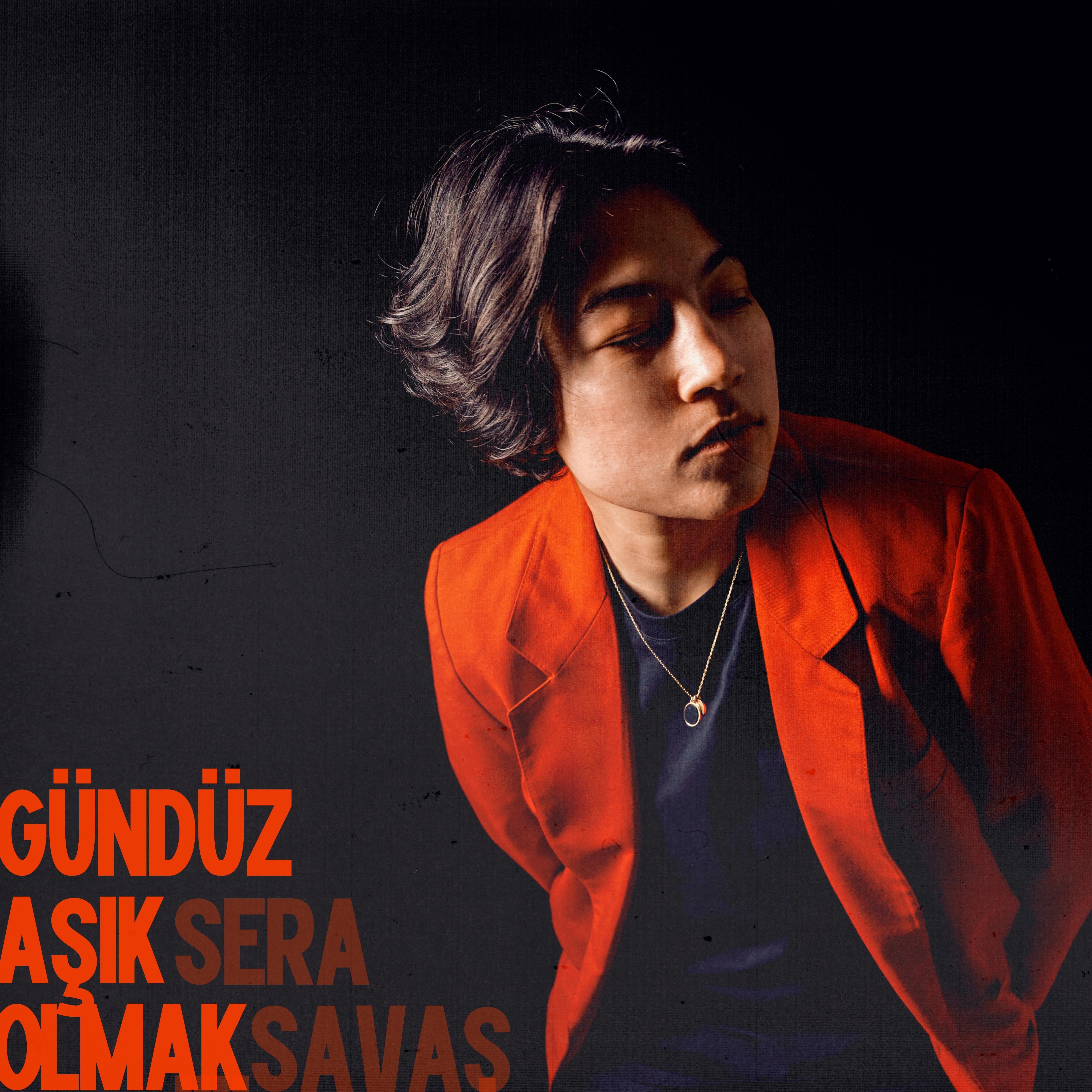 Постер альбома Gündüz Aşık Olmak
