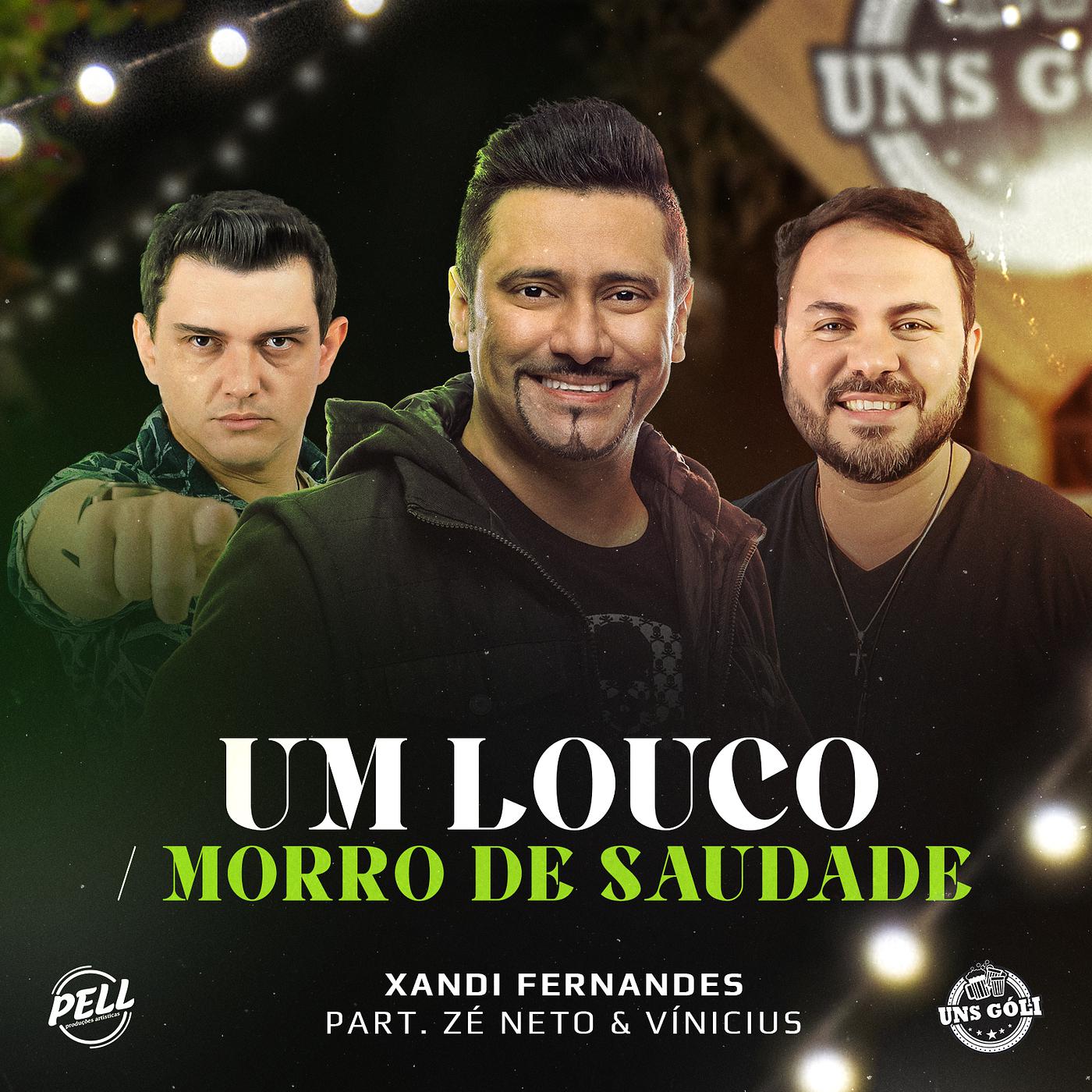 Постер альбома Um Louco / Morro De Saudade (Ao Vivo)