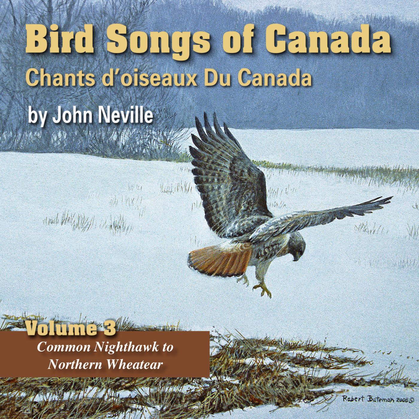 Постер альбома Bird Songs of Canada, Vol. 3