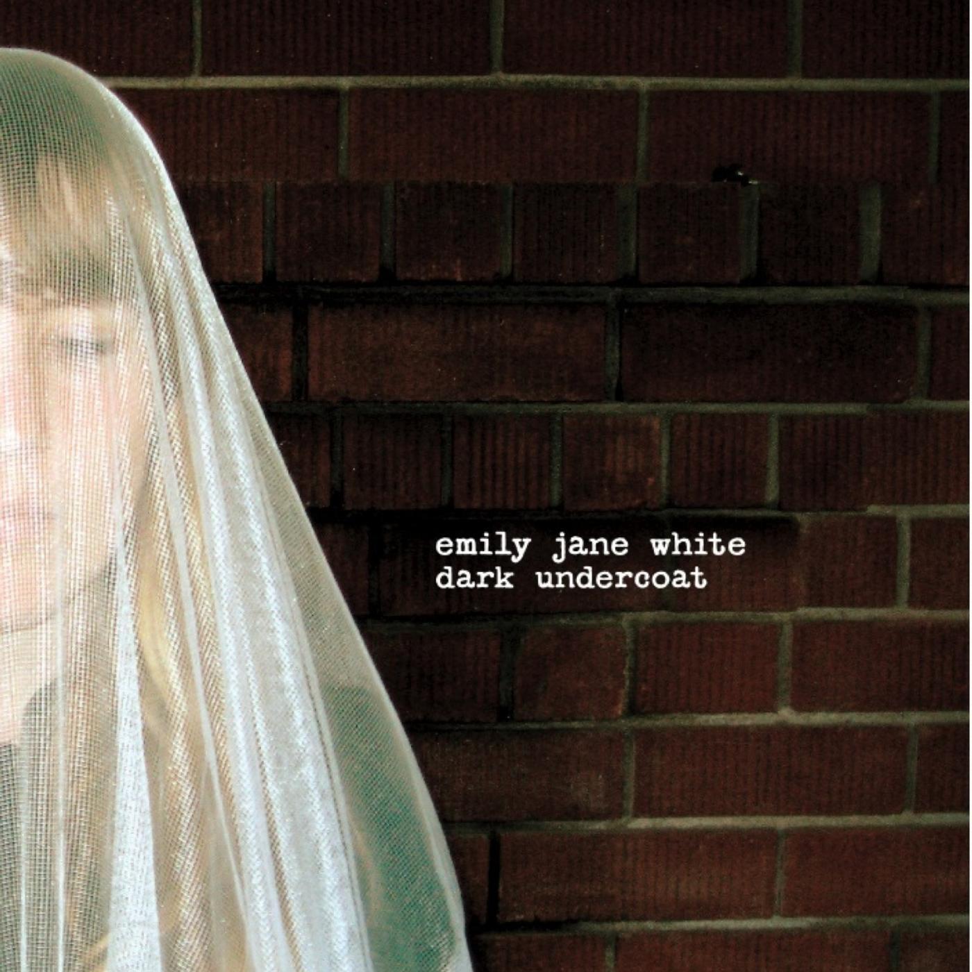 Emily Jane White - Wild Tigers I Have Known
