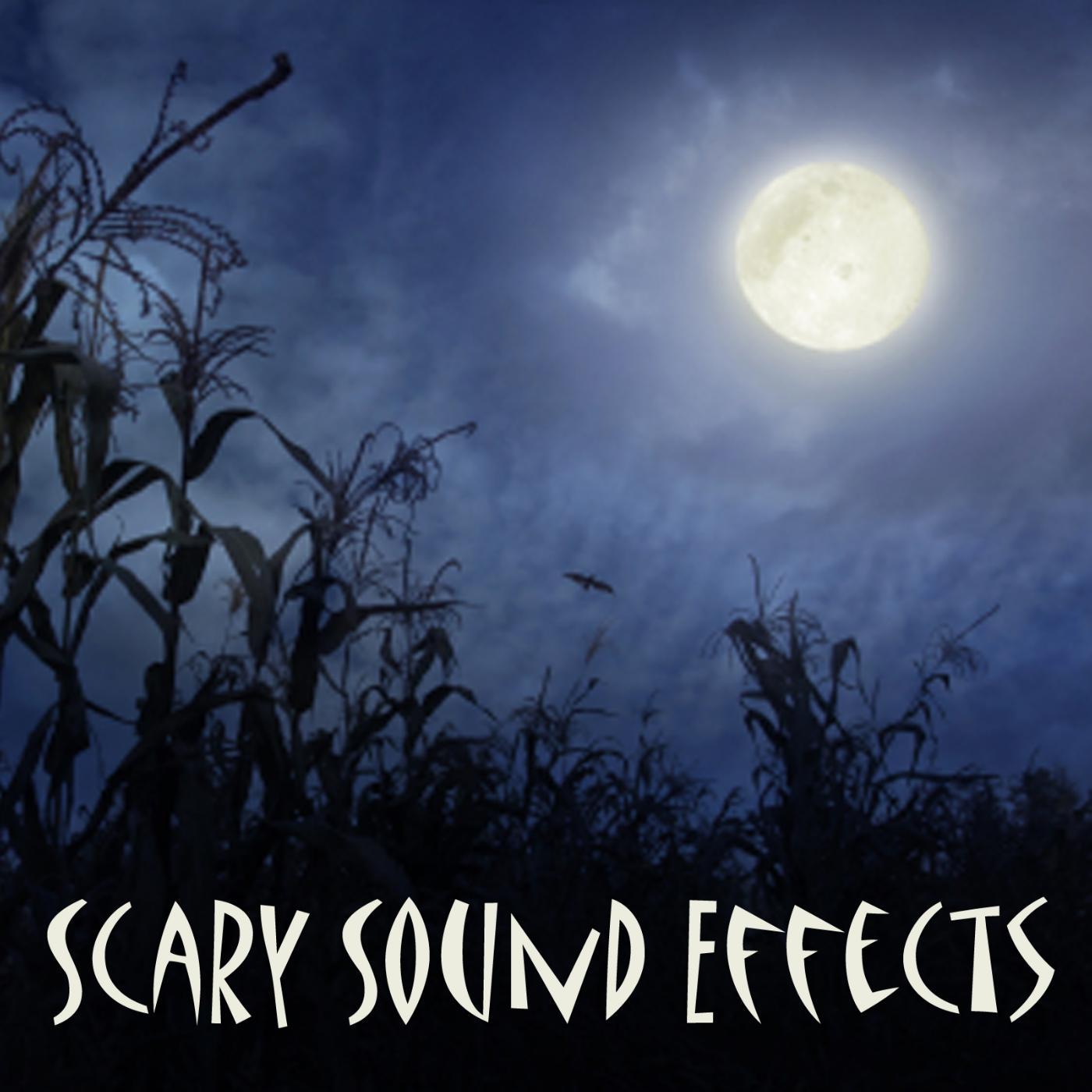 Постер альбома Scary Sound Effects