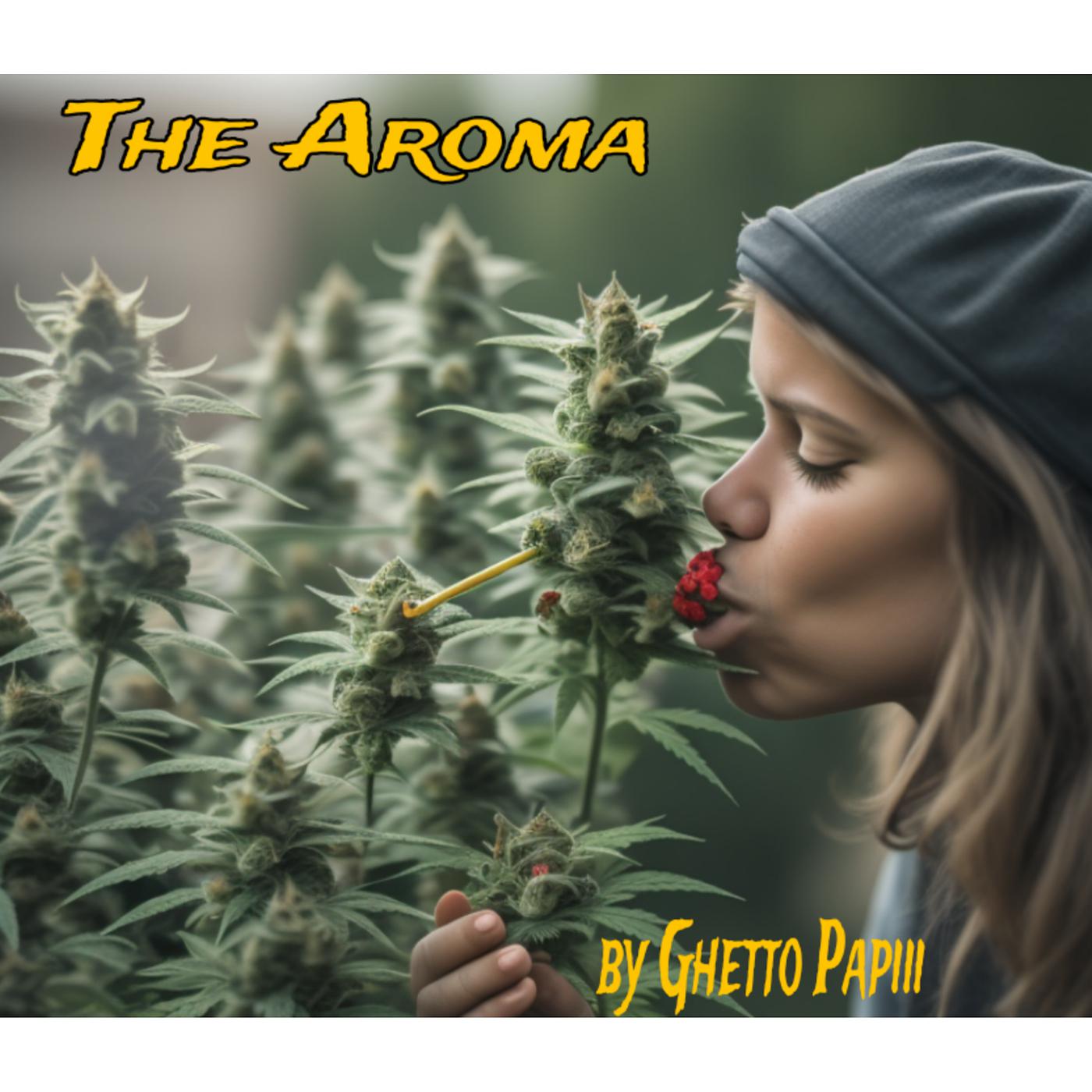 Постер альбома The Aroma