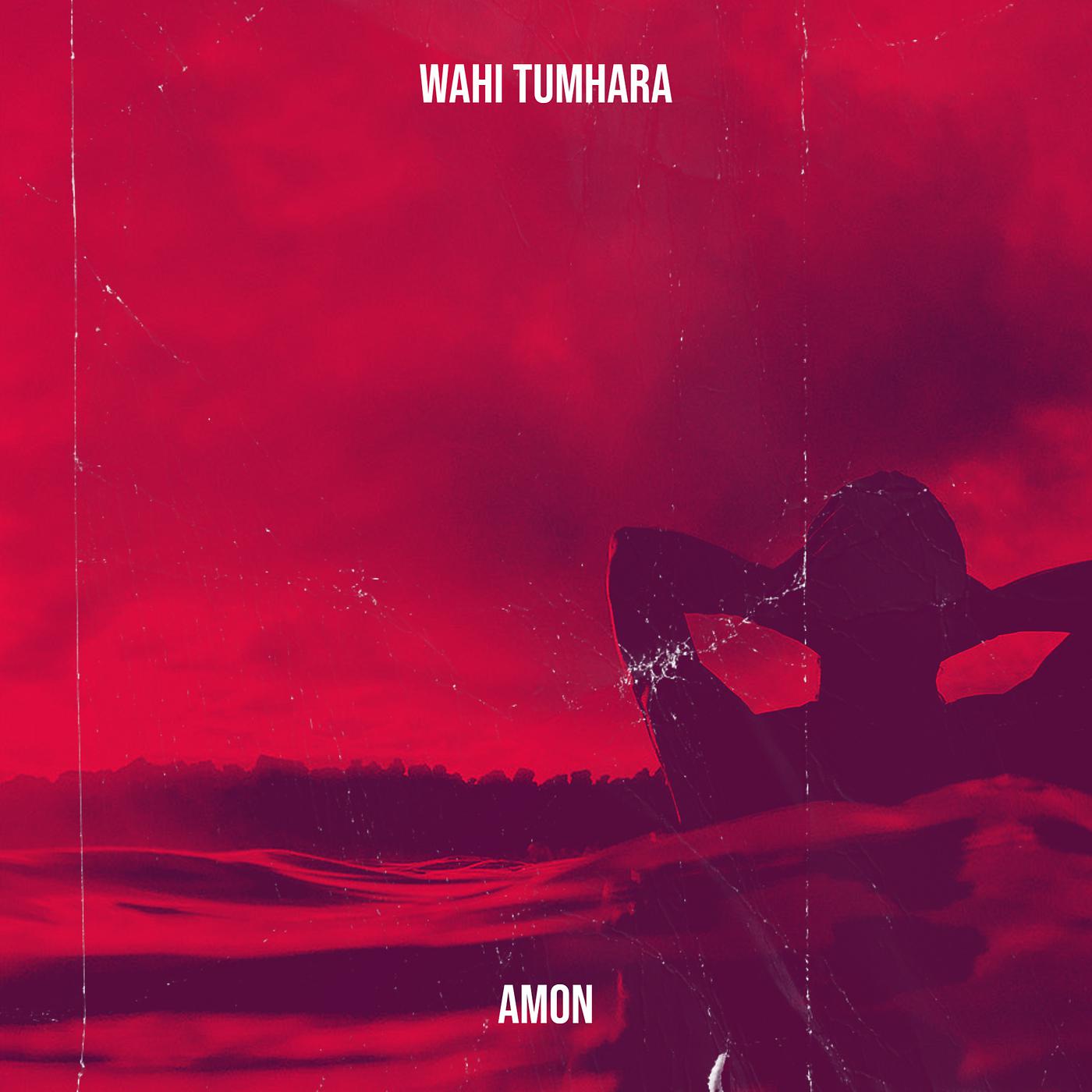 Постер альбома Wahi Tumhara