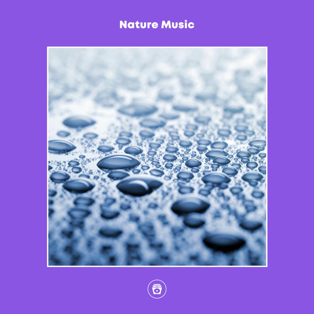 Постер альбома Nature Music